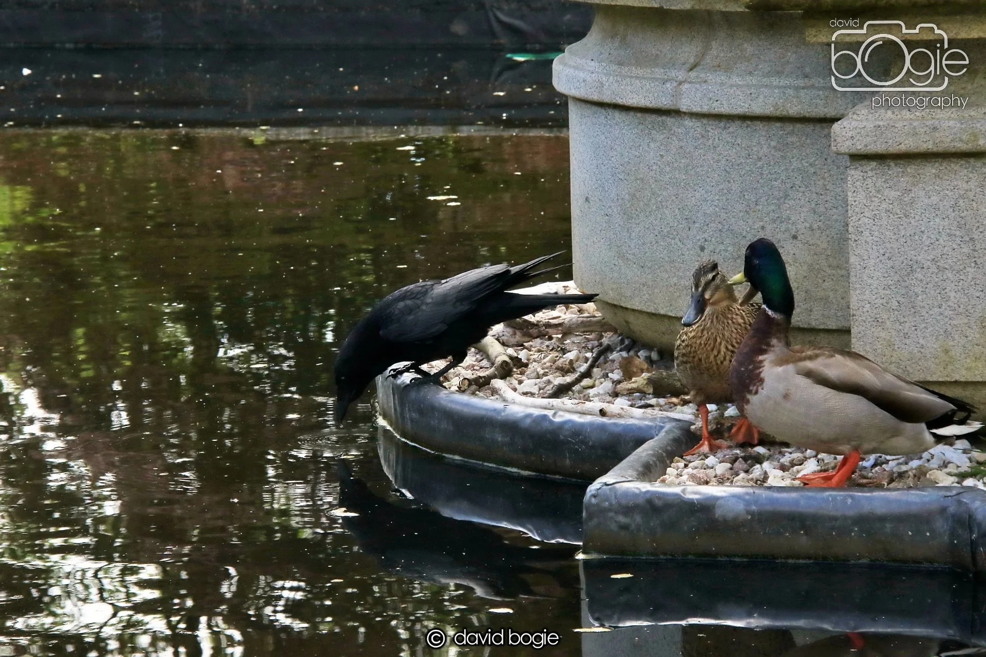 20250505 132326 Beveridge Park 0801.JPG