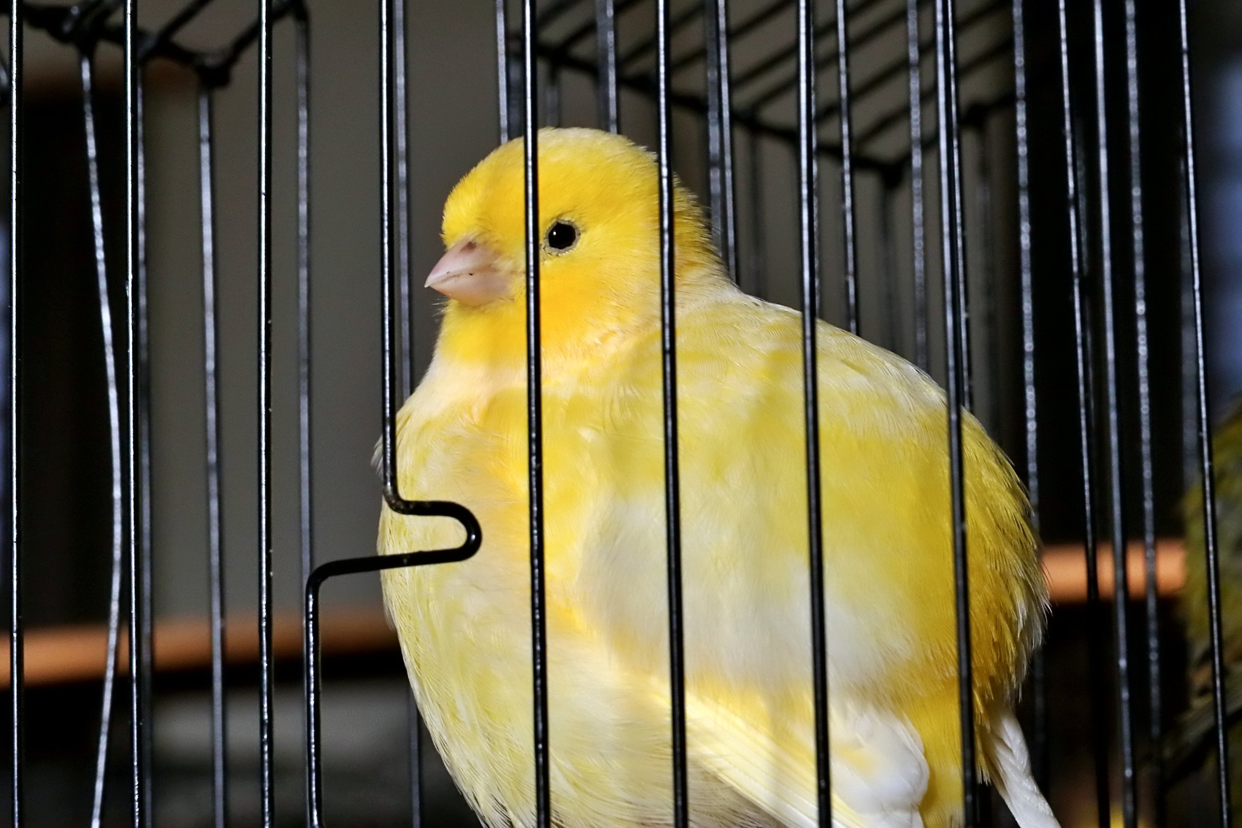 20251102 142800 Markinch CBS  0788.JPG