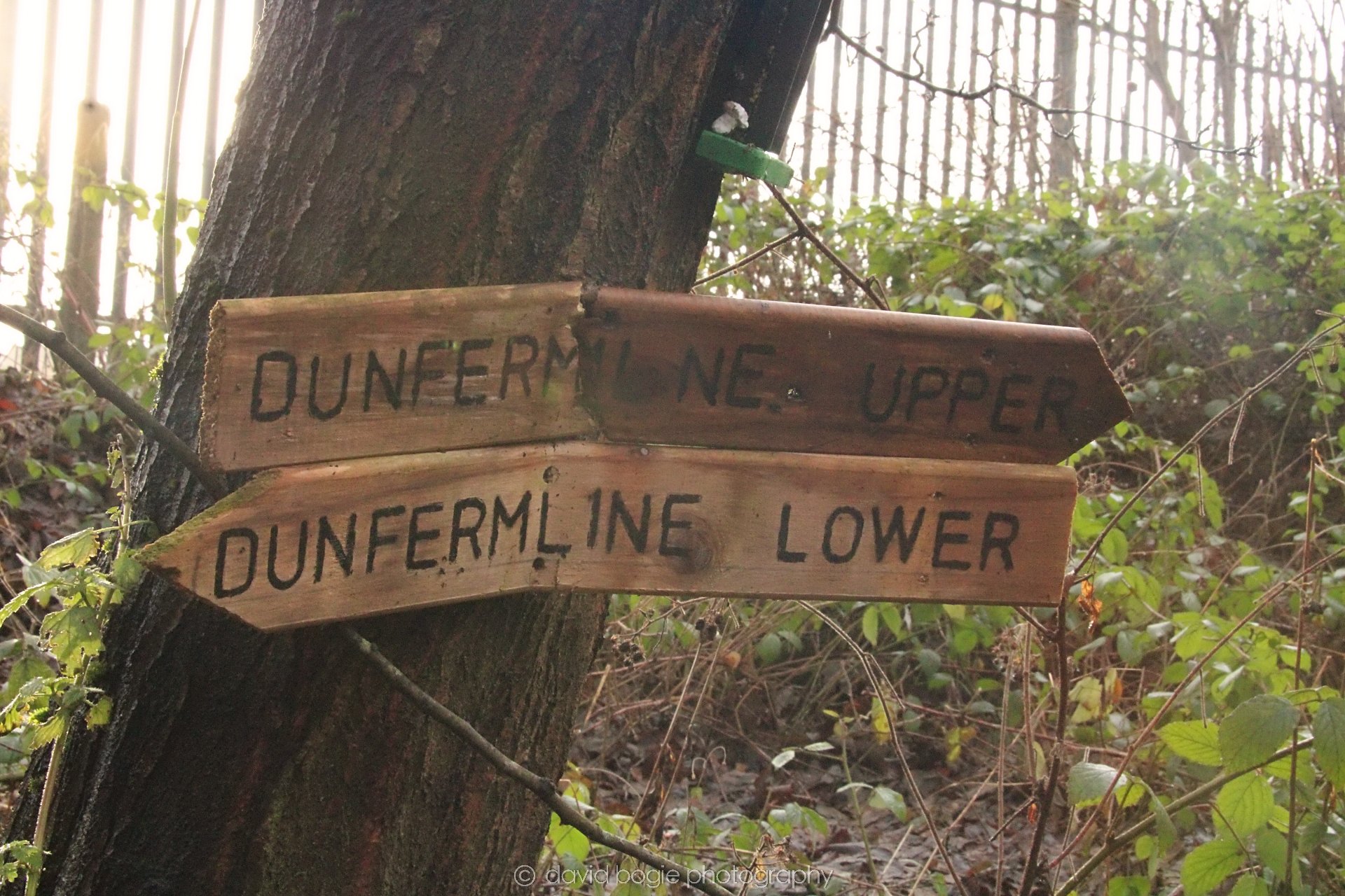 YEAR20220108 Dunfermline 00006.jpg