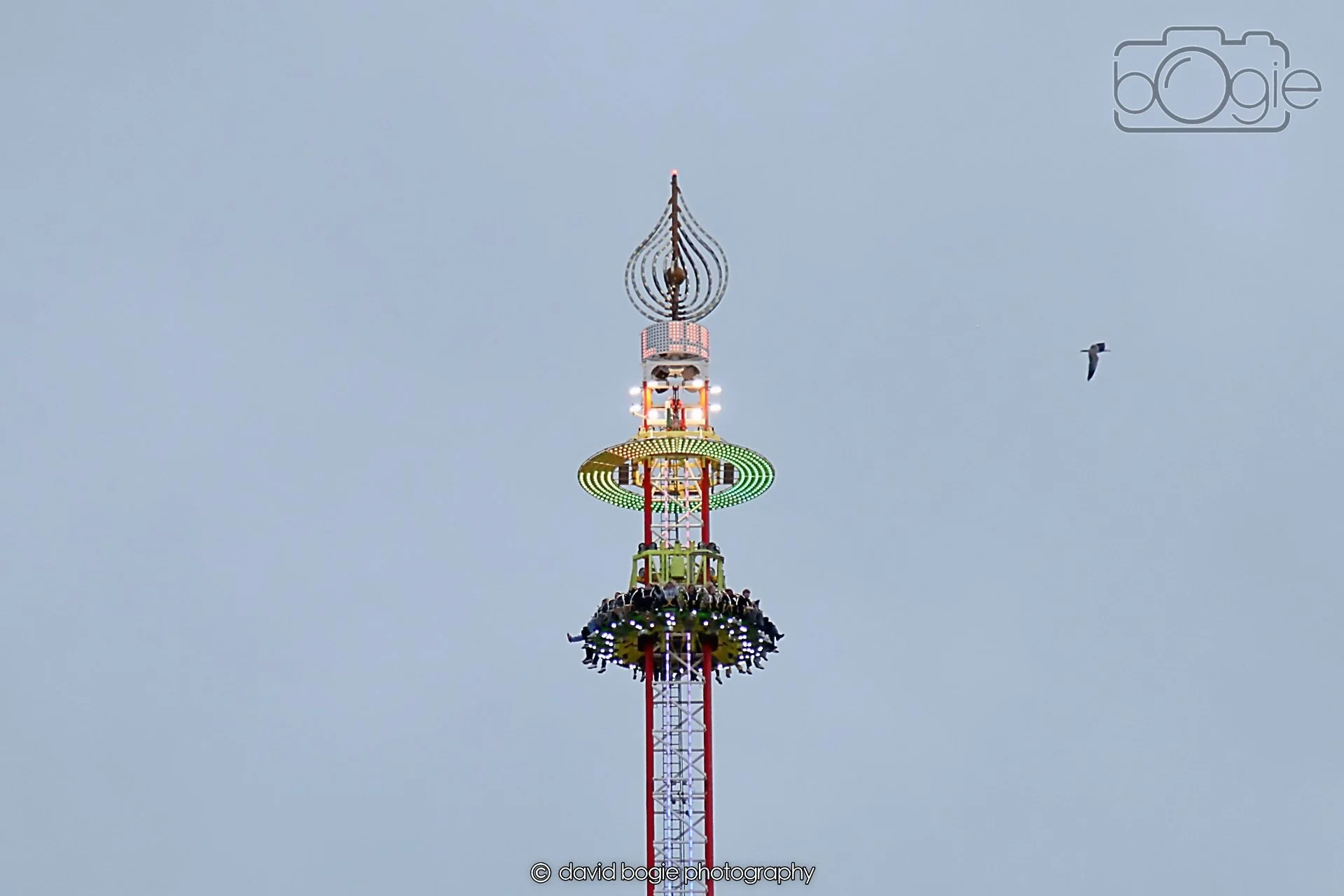 20260416 190620 Links Market0171.jpg