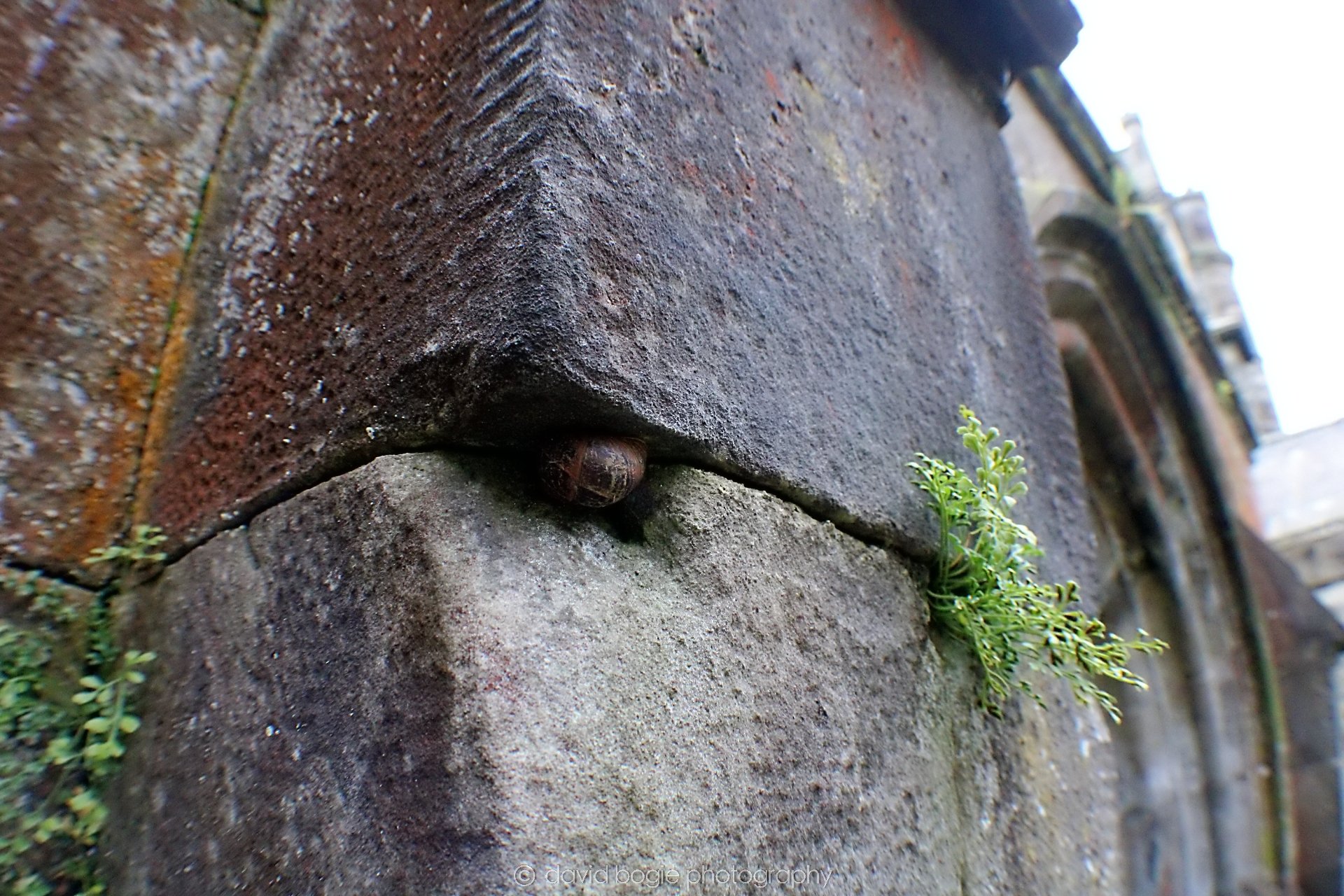 20190918 123449 Culross 0017.jpg