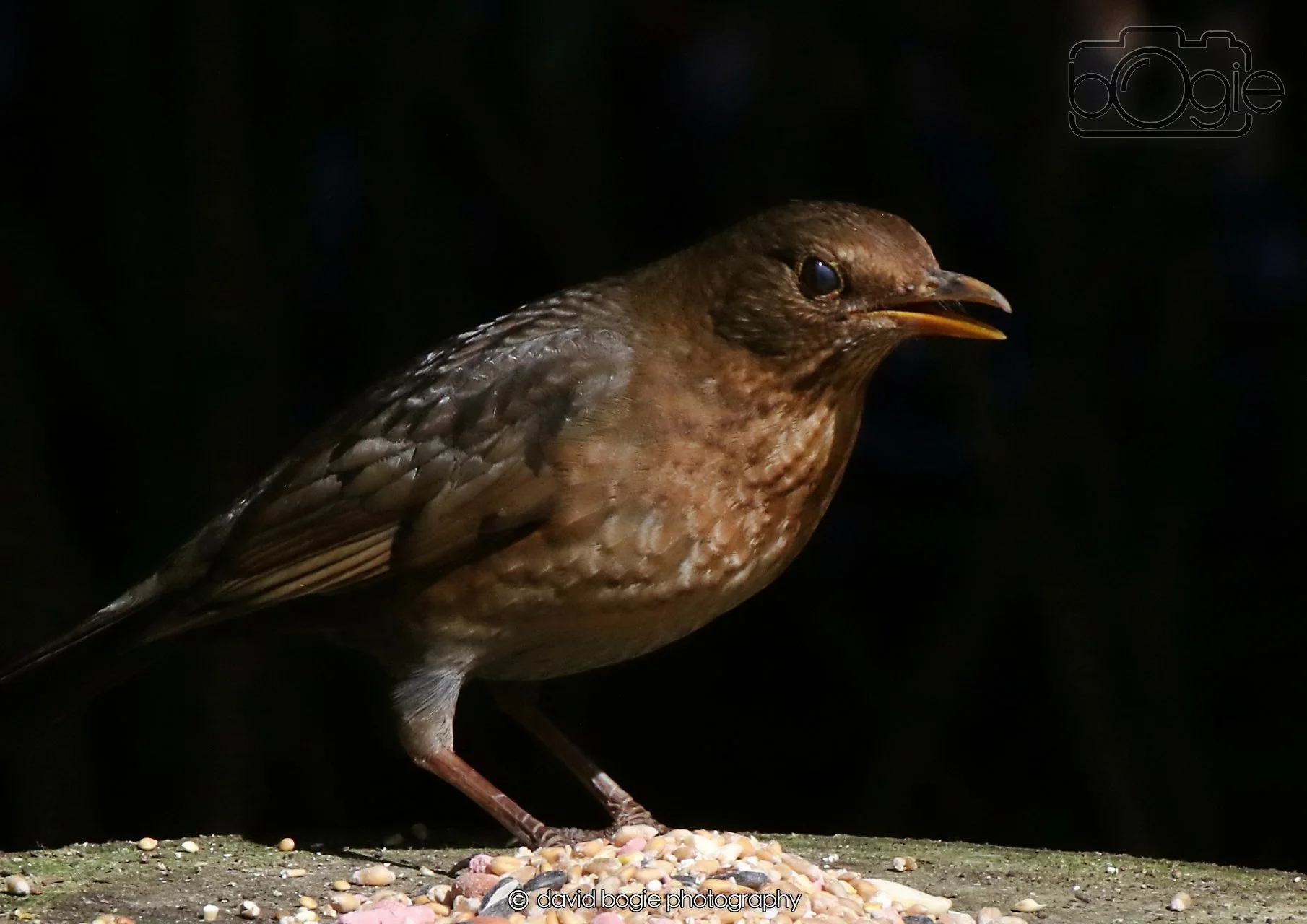 20260403 121352 Dunnikier 0056.jpg