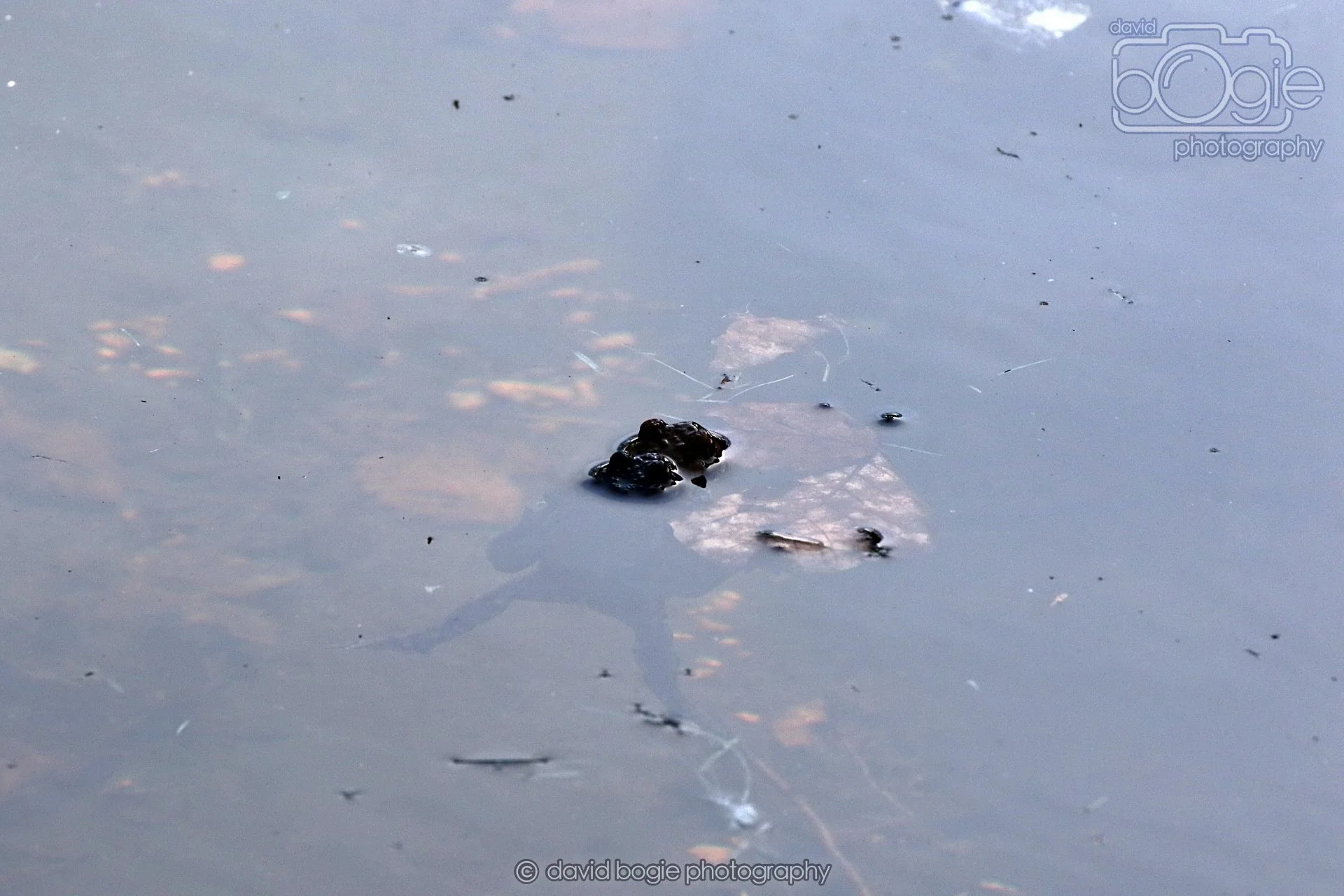 20260319 120019 Beveridge Park 0221.jpg