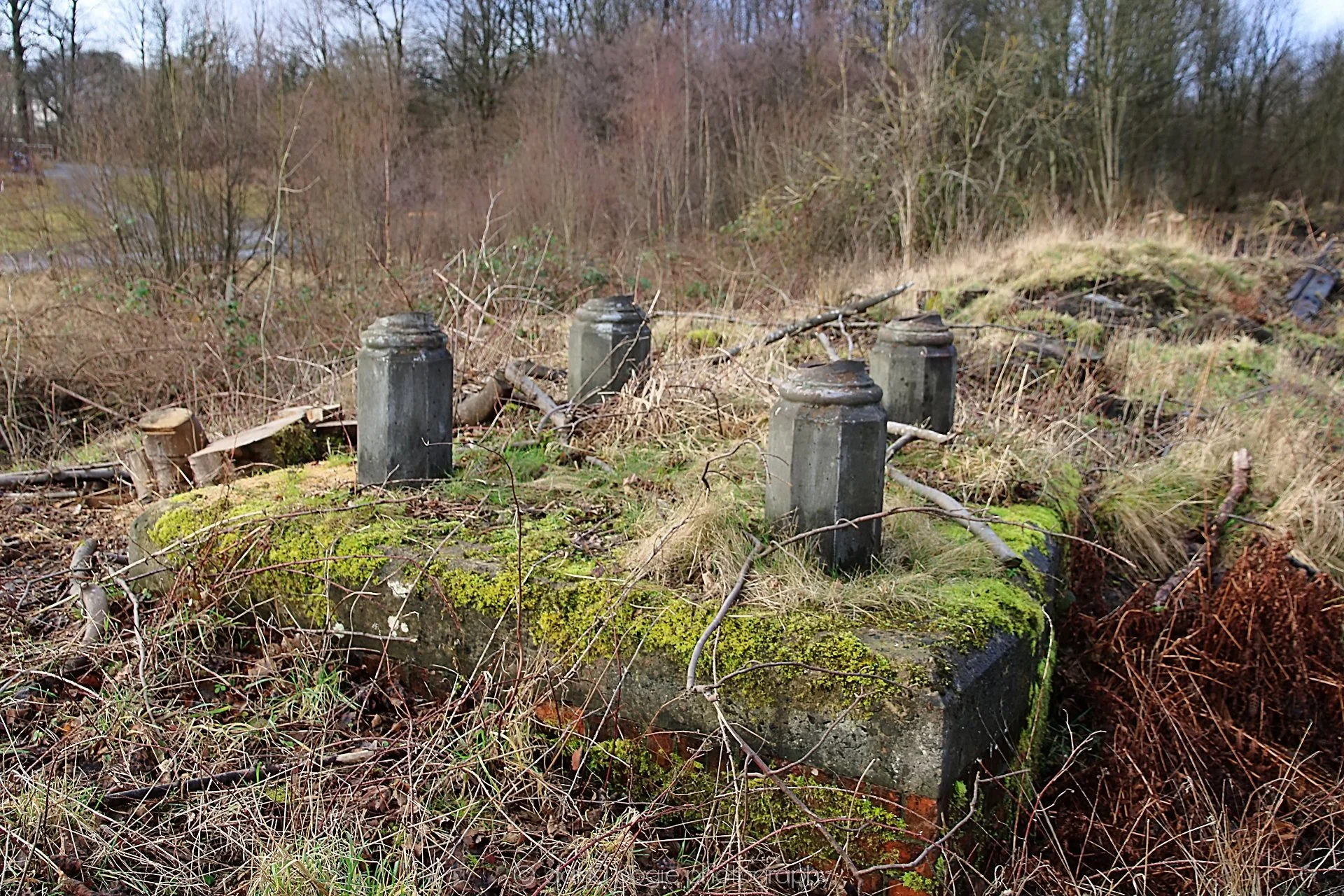 YEAR20220202 Levenmouth 00011.jpg