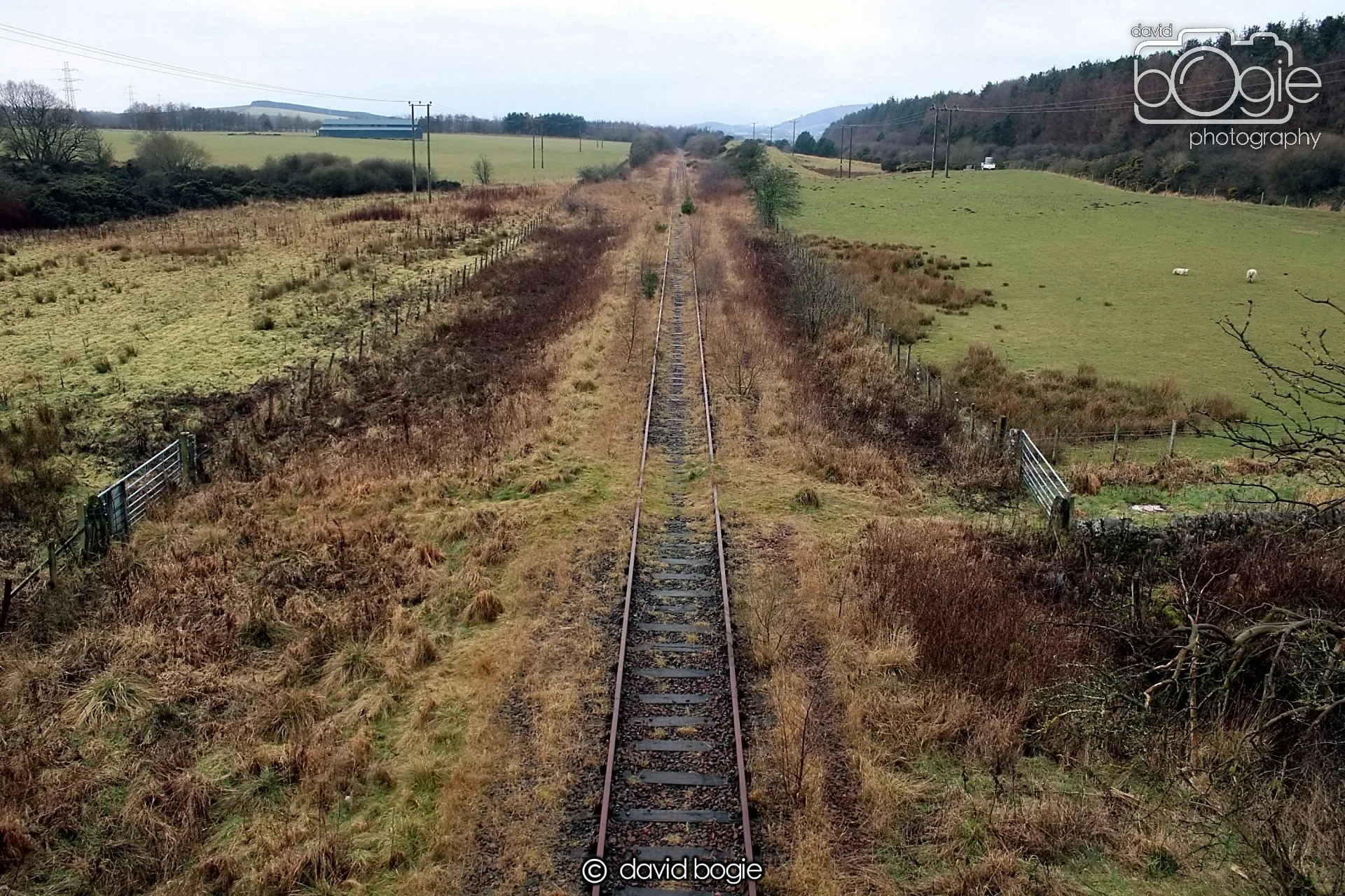 20190207 103300 Kinglassie 0001.JPG