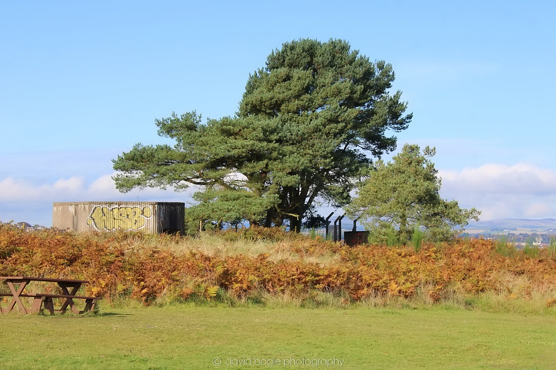 20191014 120821 Tentsmuir 0038.jpg