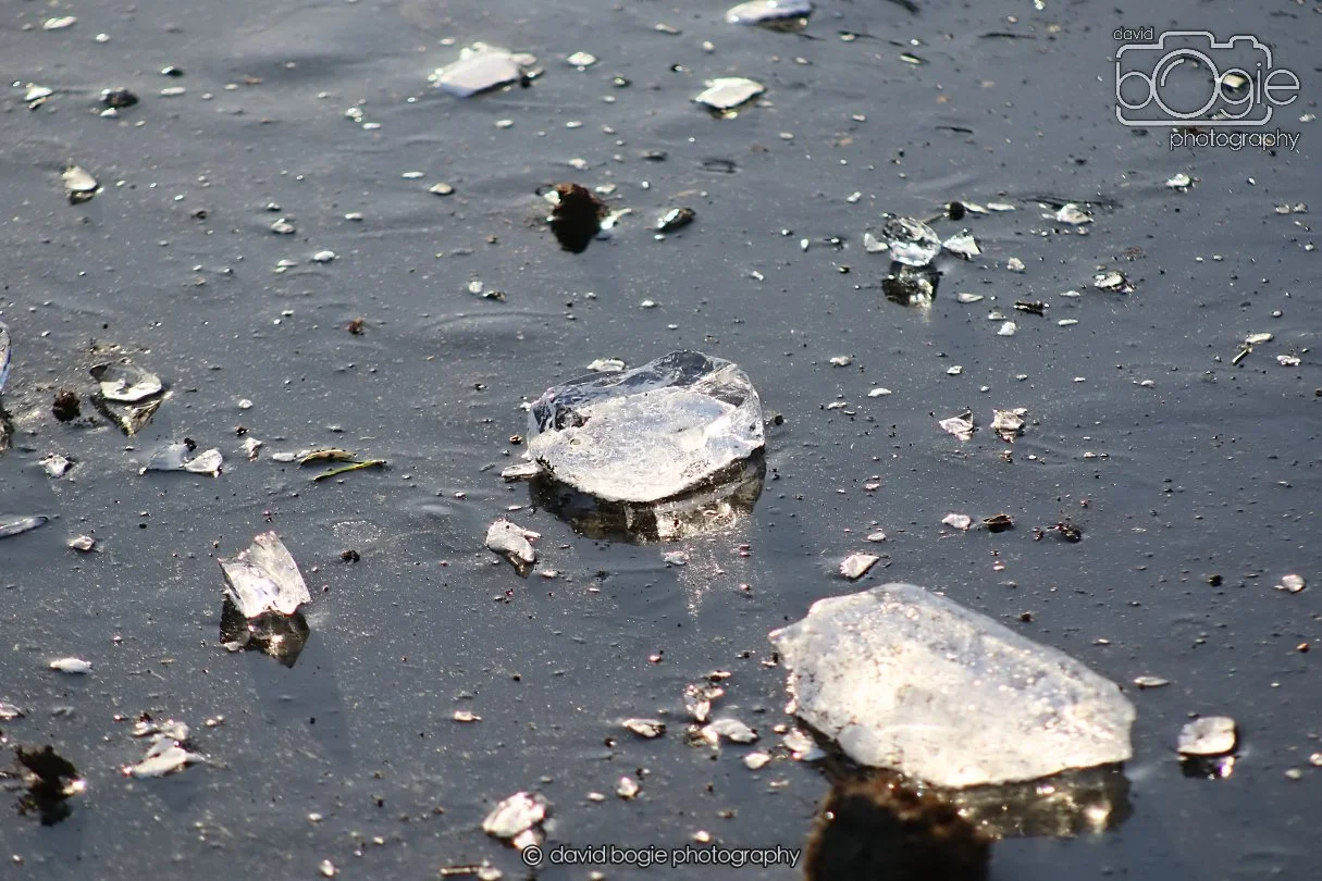 20260103 110930 Beveridge Park 0014.JPG