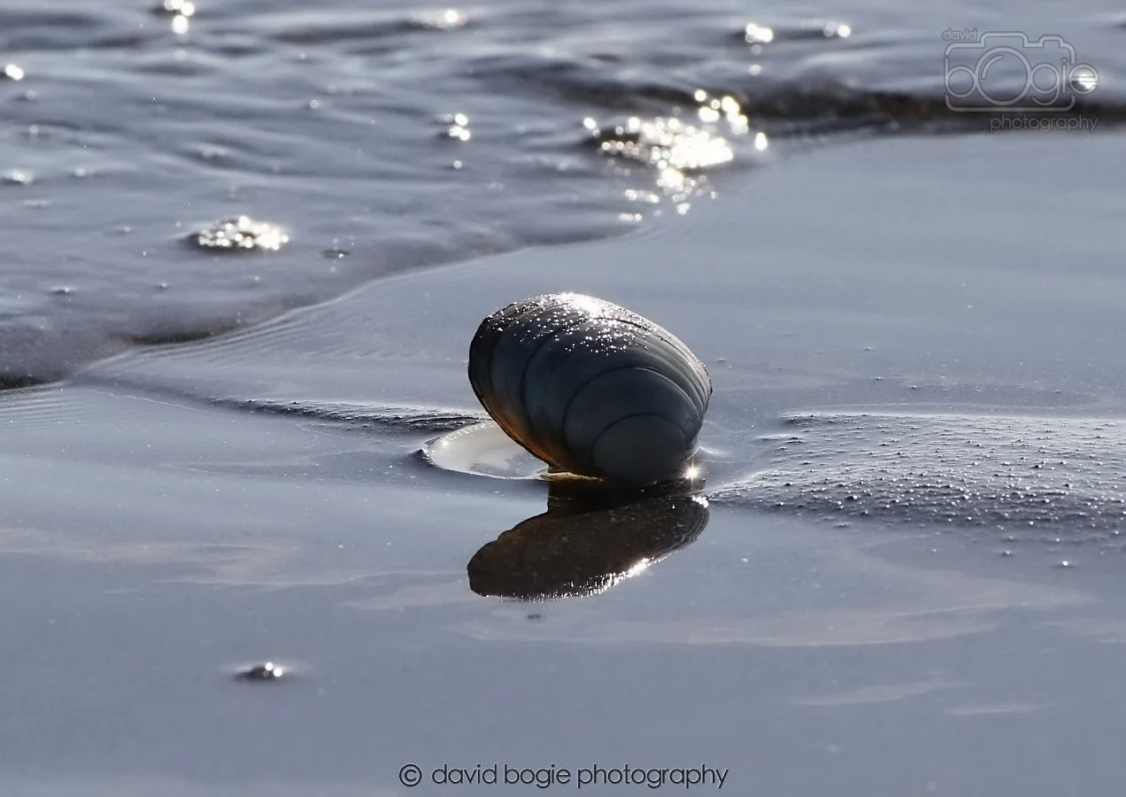 20260307 111458 Kirkcaldy 0087.jpg