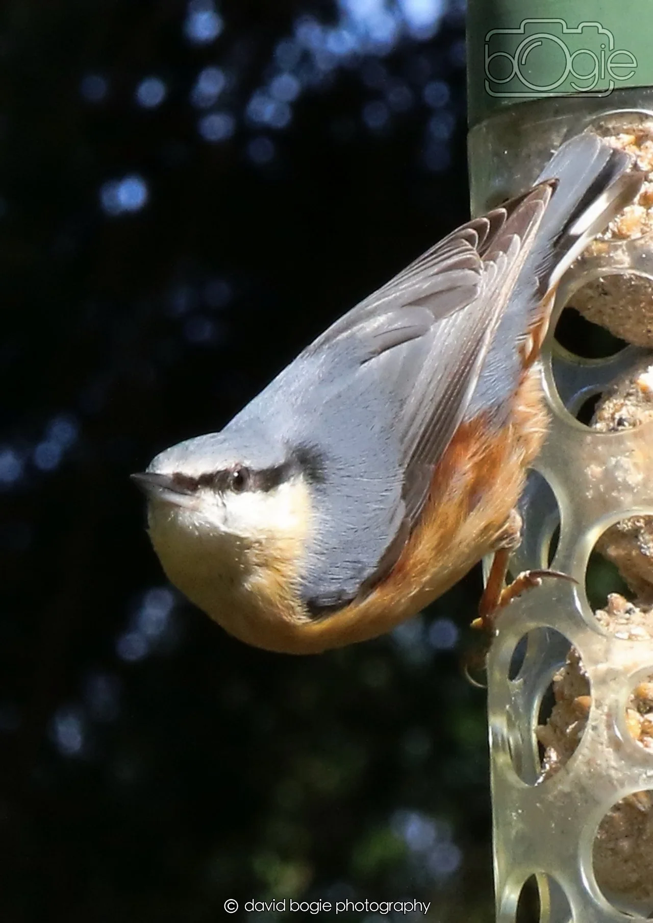 20260330 115200 Dunnikier 0235.jpg