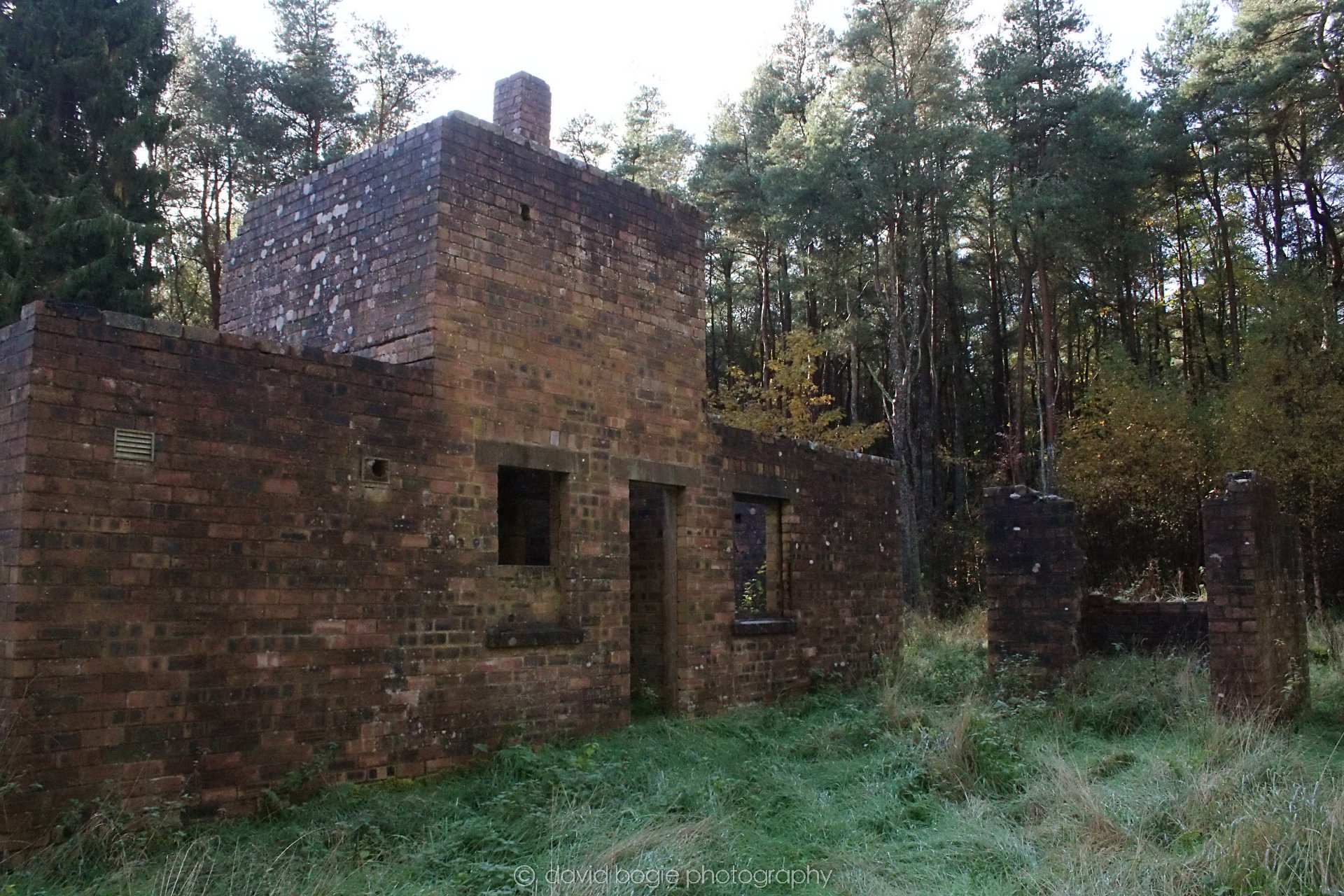 20191014 133133 Tentsmuir 0040.jpg