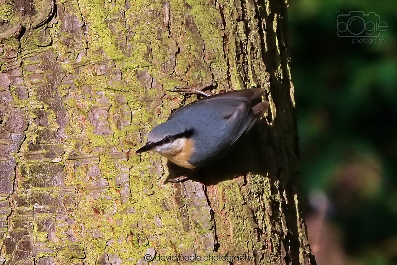 20260128 132044 Dunnikier 0169.jpg