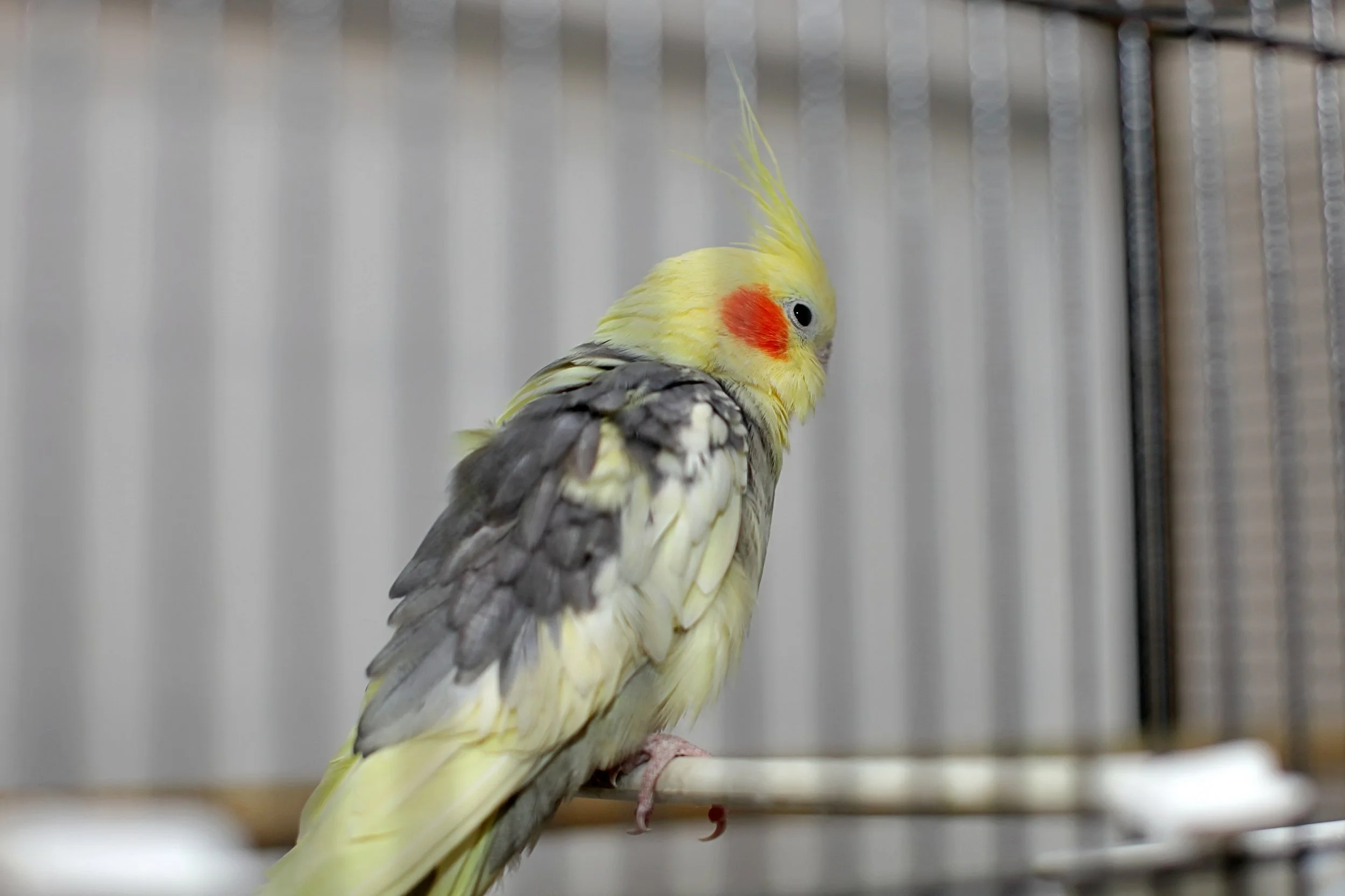 20251117 124944 IMG_0030.JPG