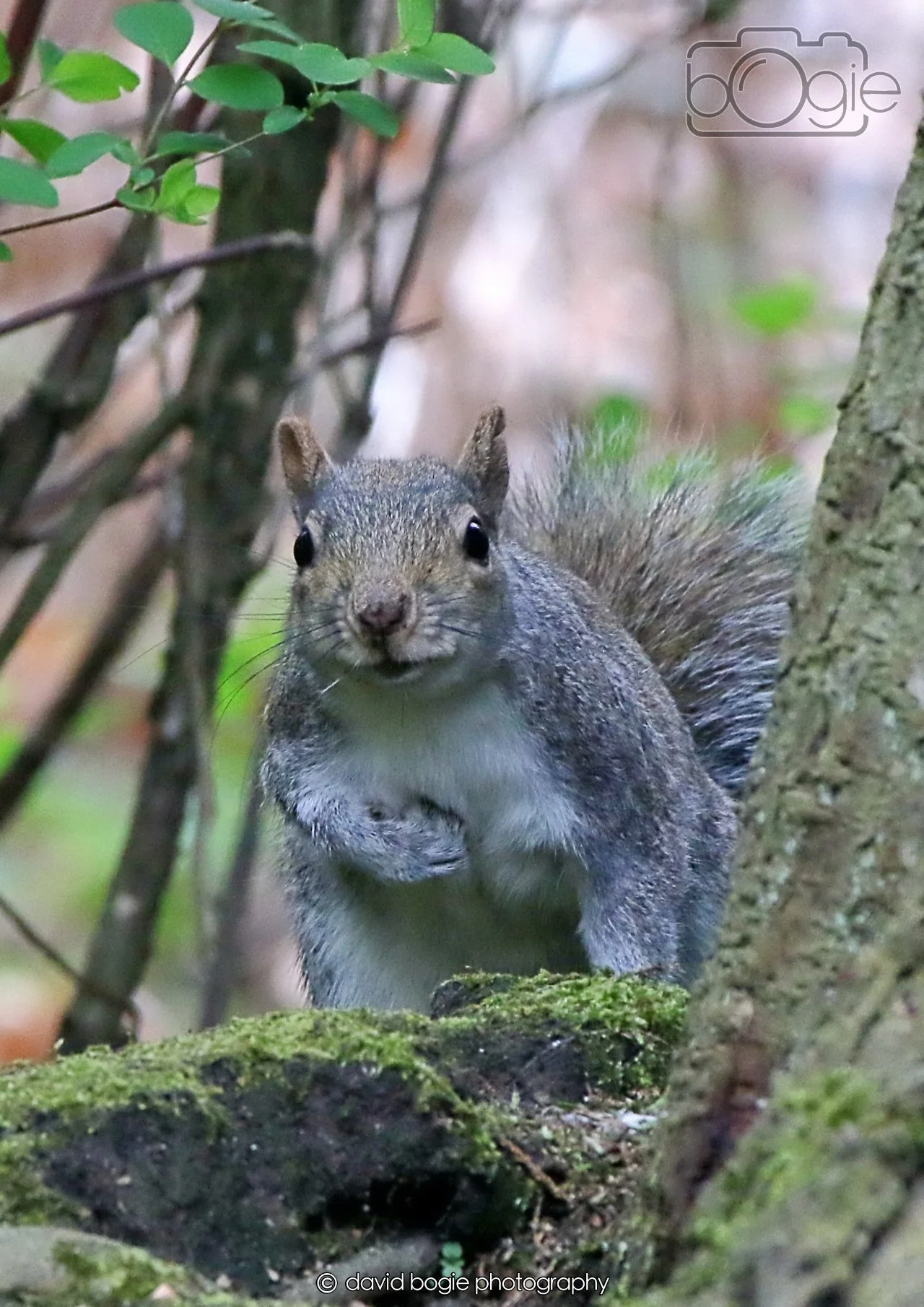 20260403 130502 Dunnikier 0362.jpg