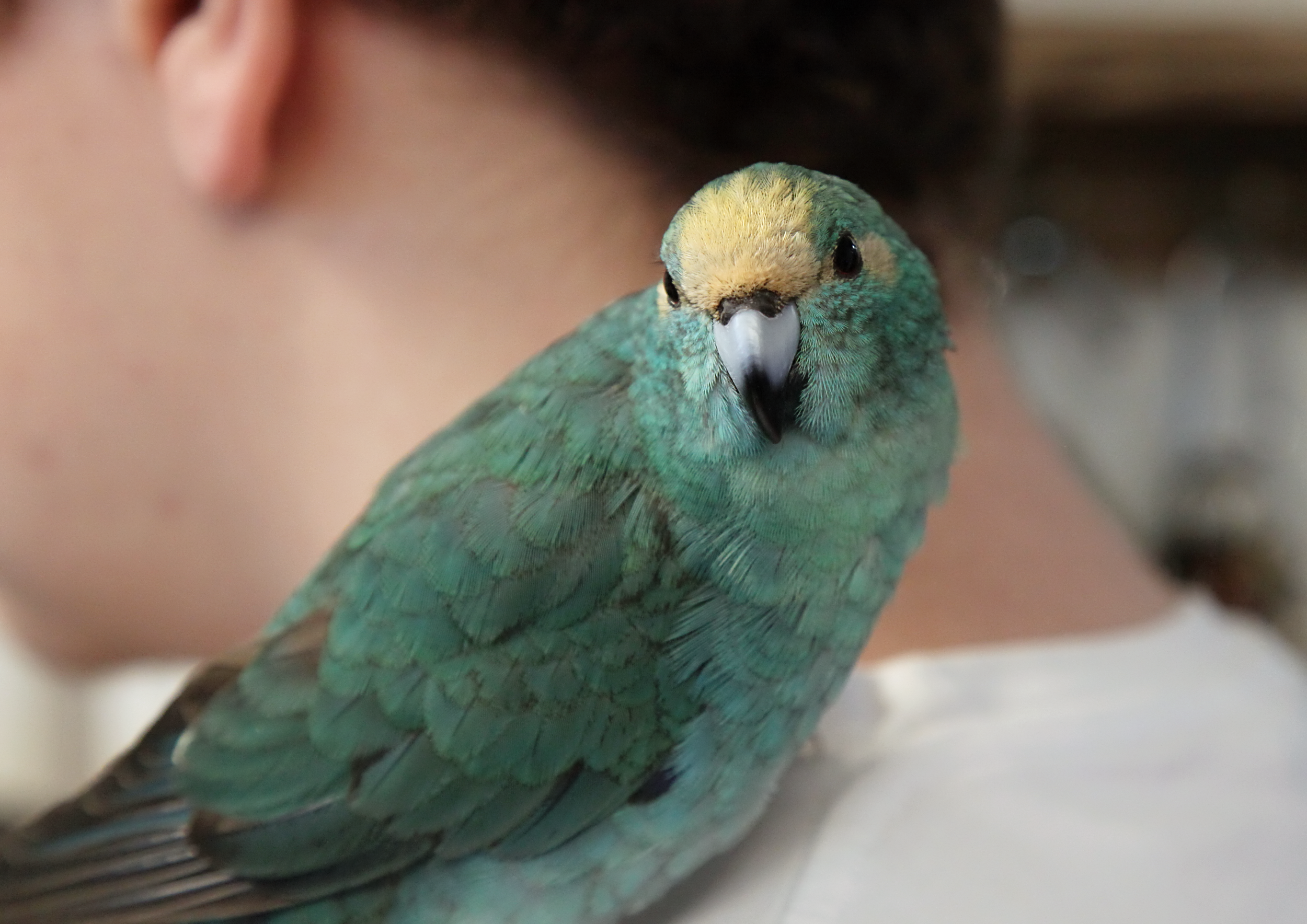 20260212 120209 K&S 0134.png