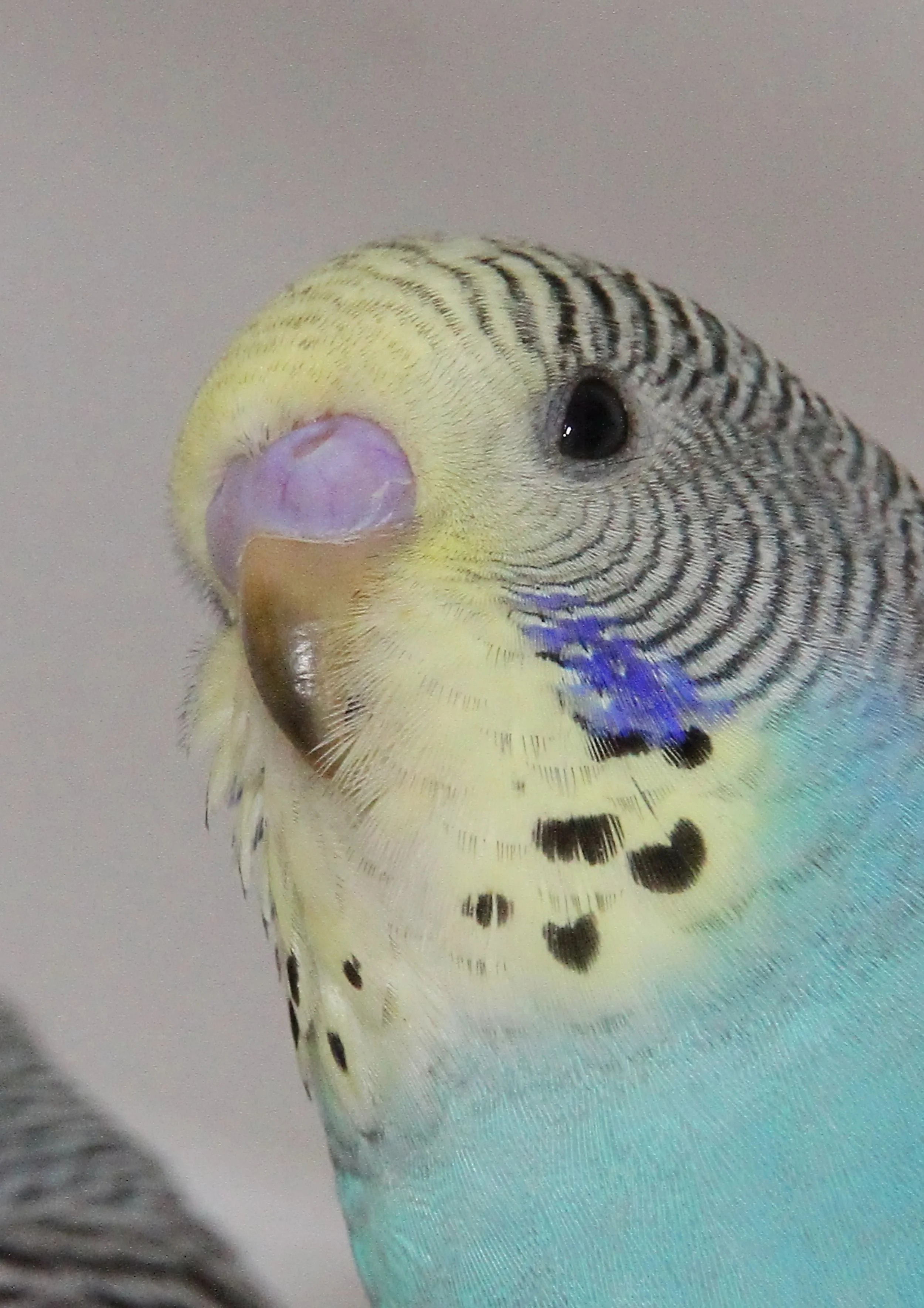 20260403 135018 IMG_0129.jpg