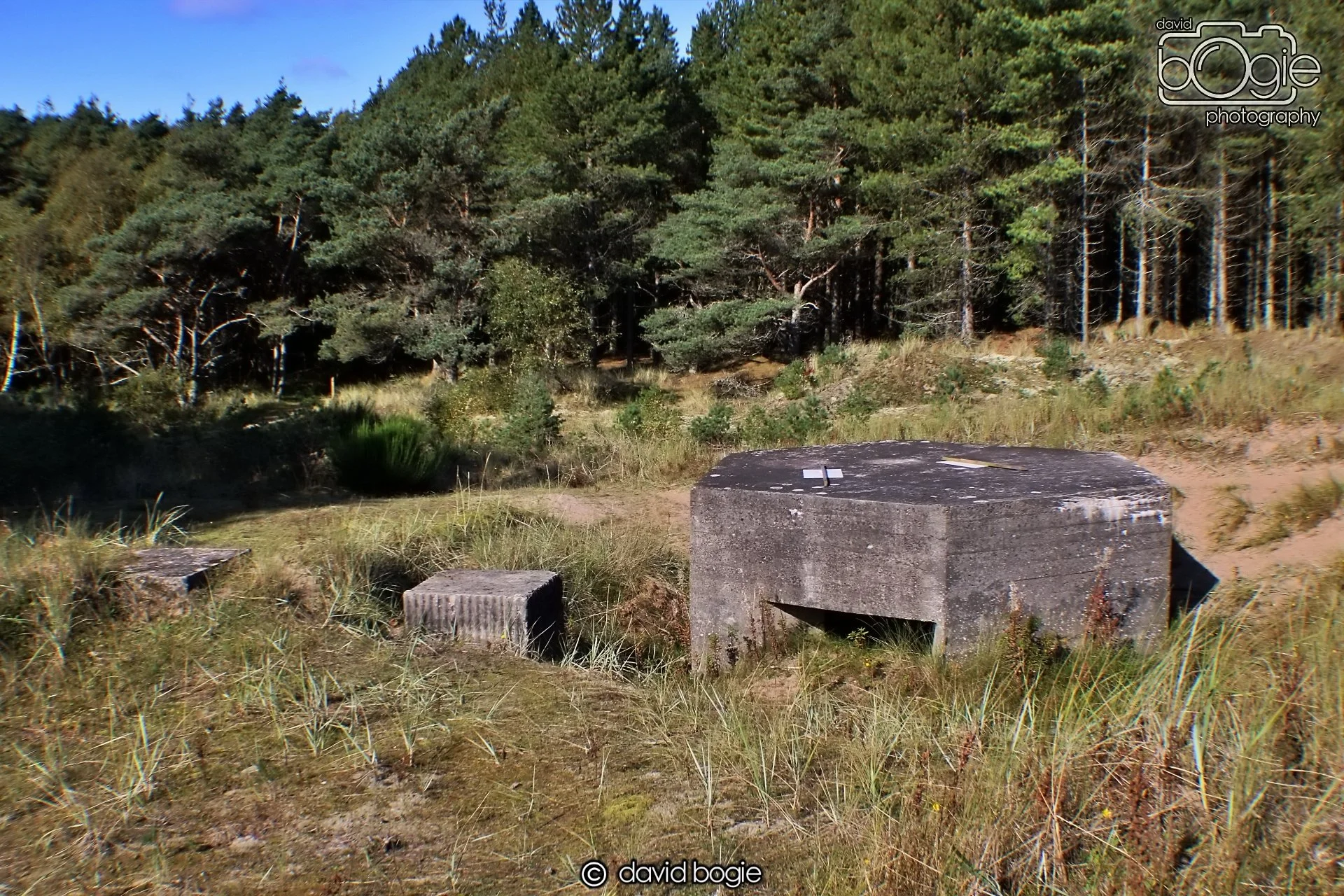 20191002 122621 Tentsmuir 0010.jpg