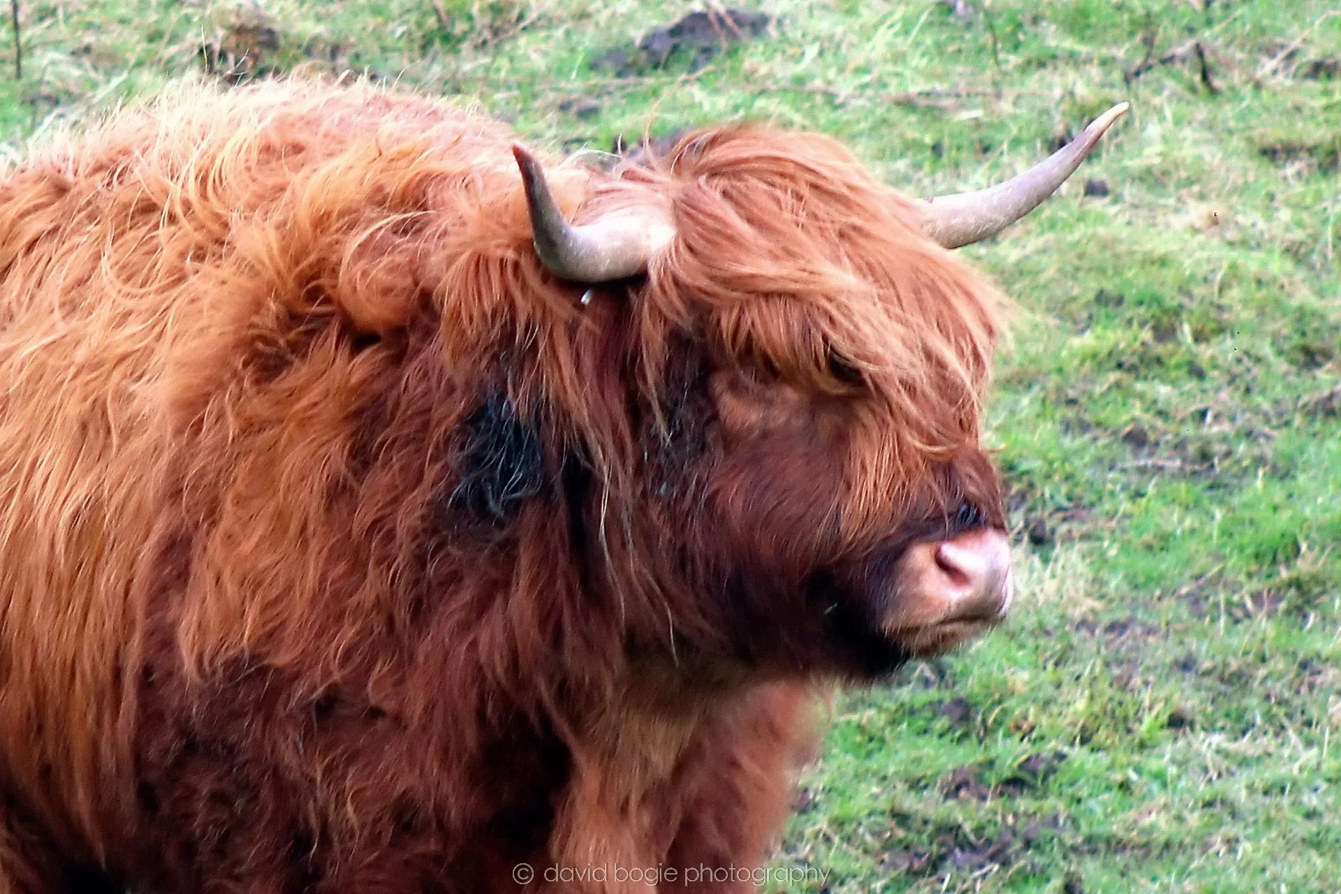 20200218 094320 Balbie Coos 0015.jpg