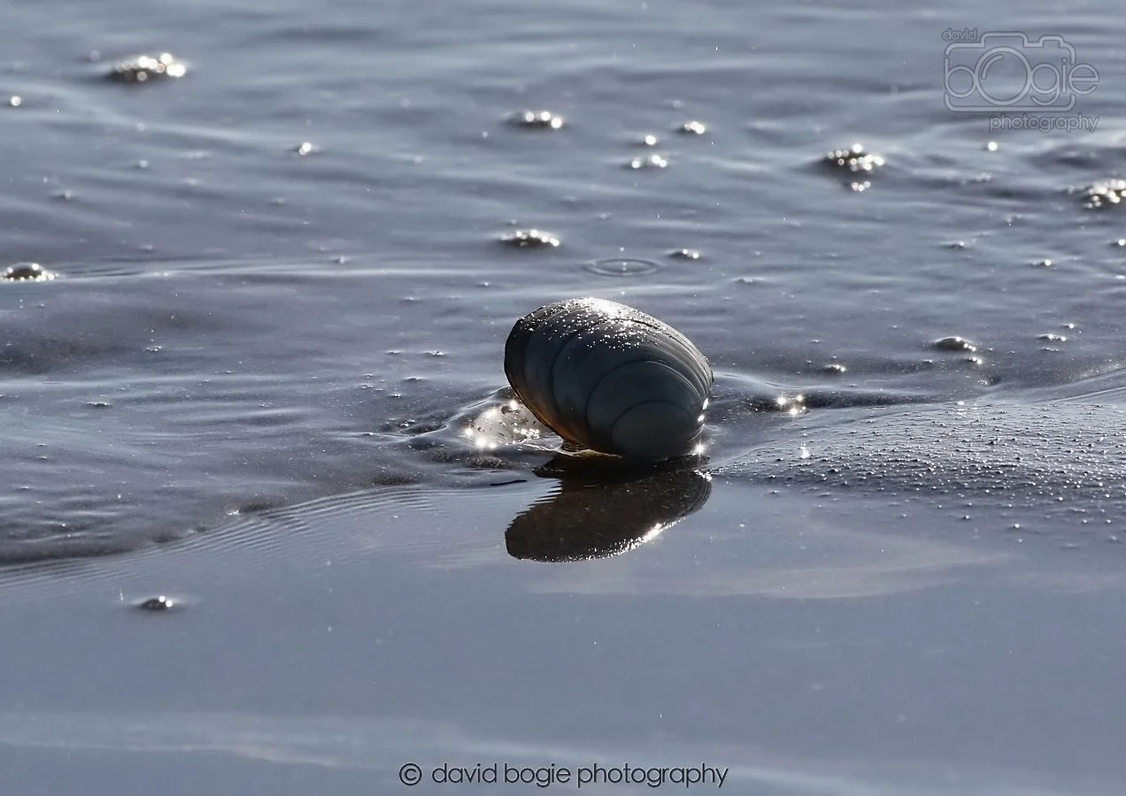 20260307 111501 Kirkcaldy 0093.jpg