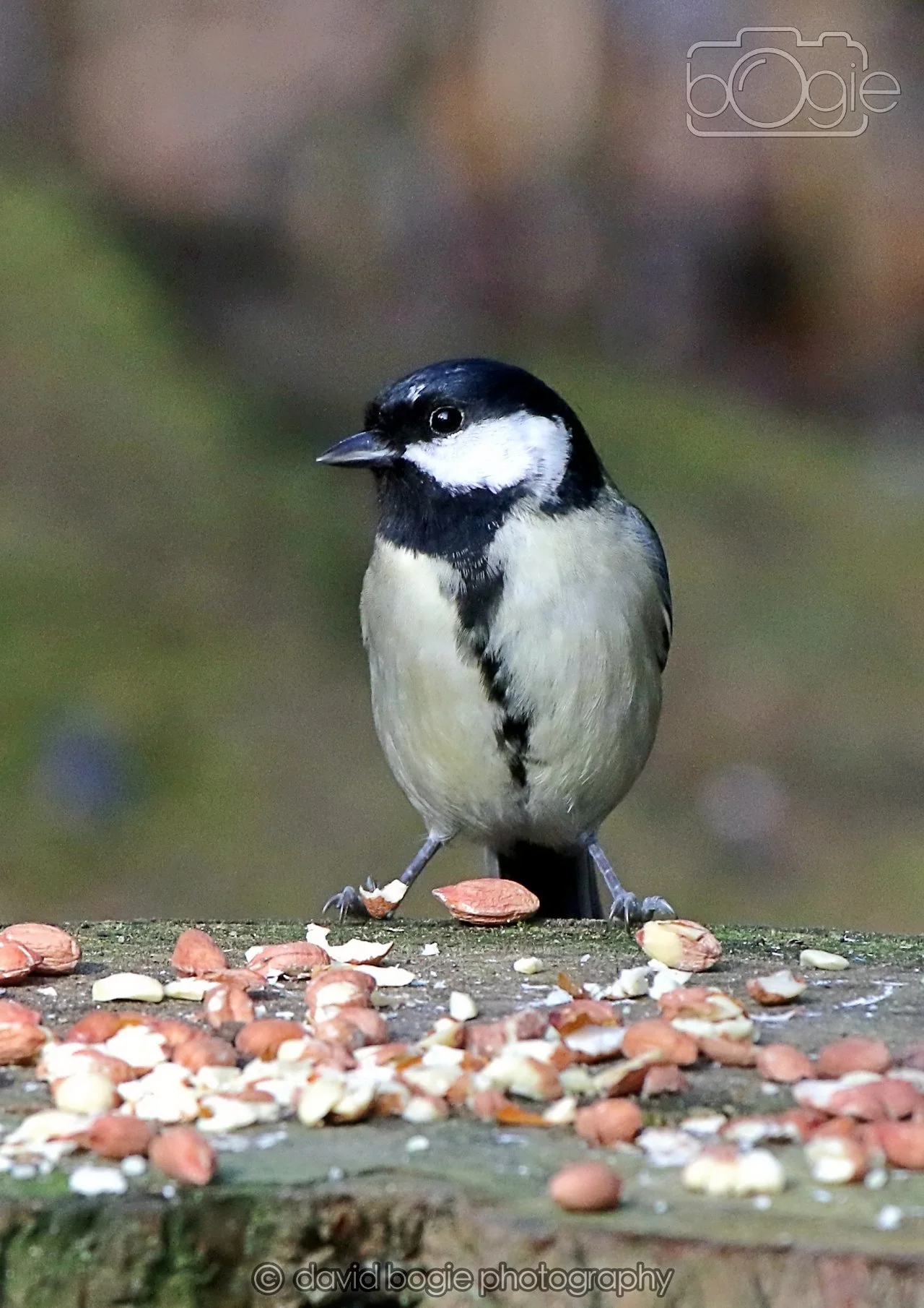 20260322 145046 Dunnikier 0203.jpg