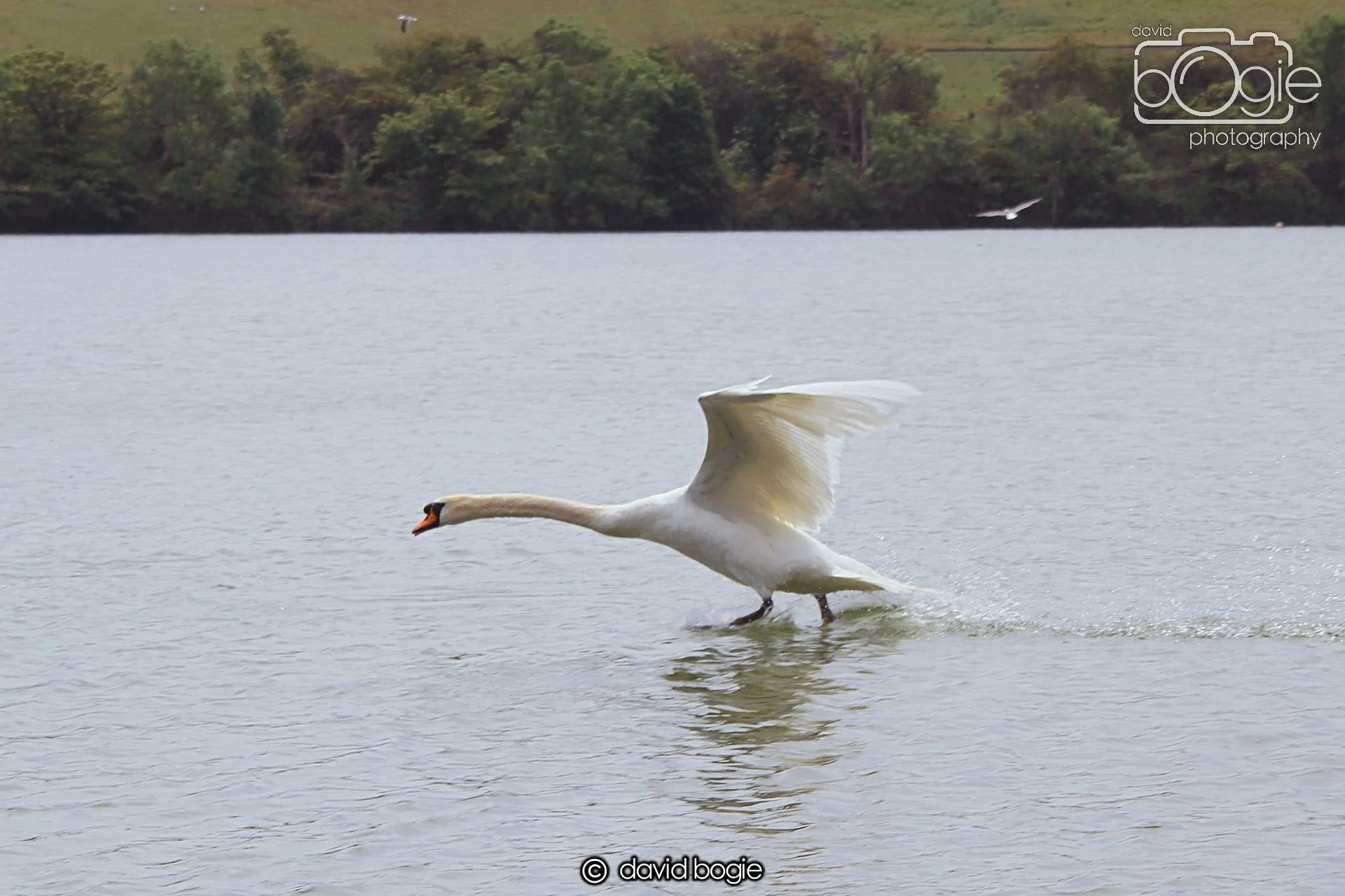 20230618 Kinghorn Loch 120756 0167.jpg