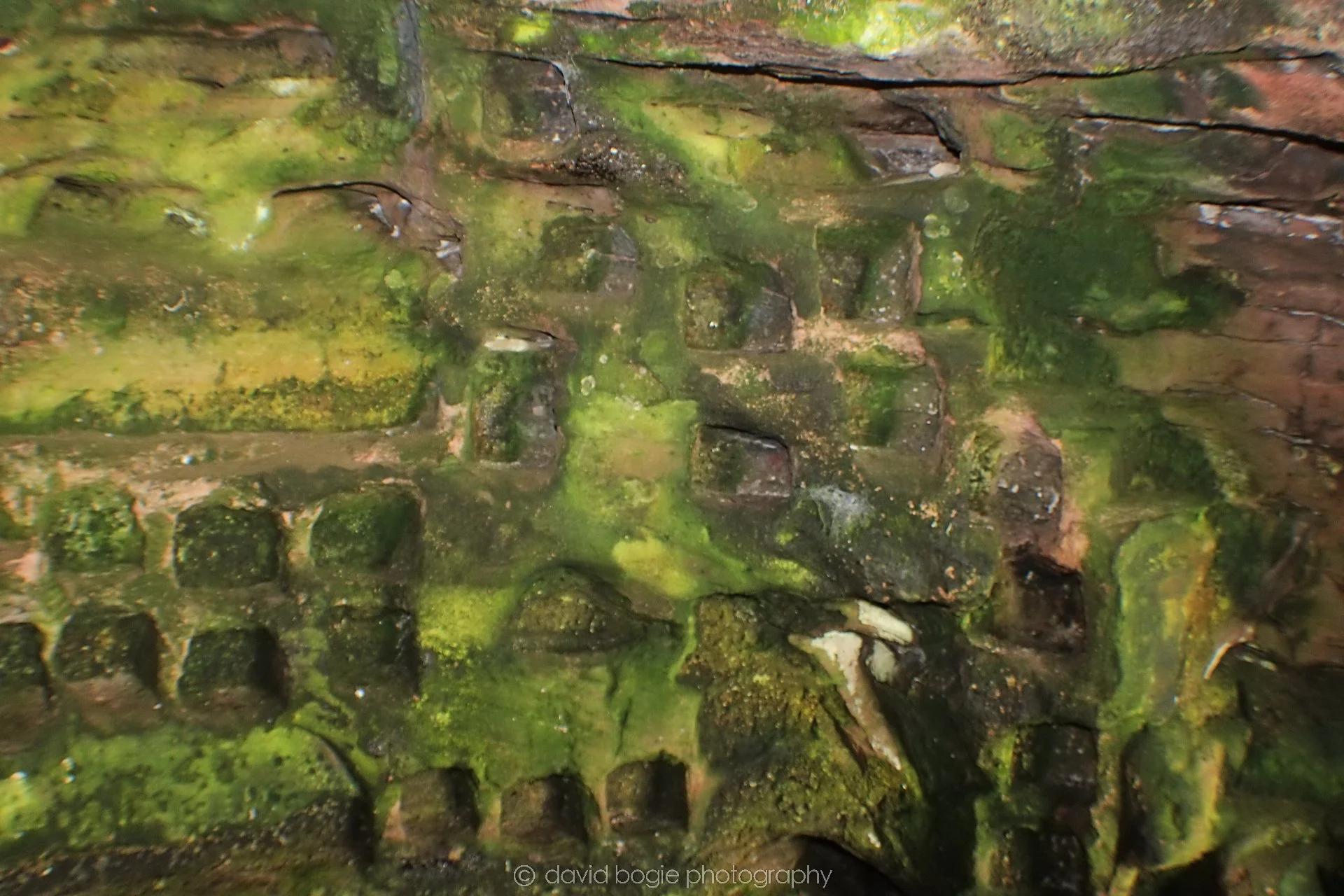 20190926 102738 Wemyss Caves 0013.jpg