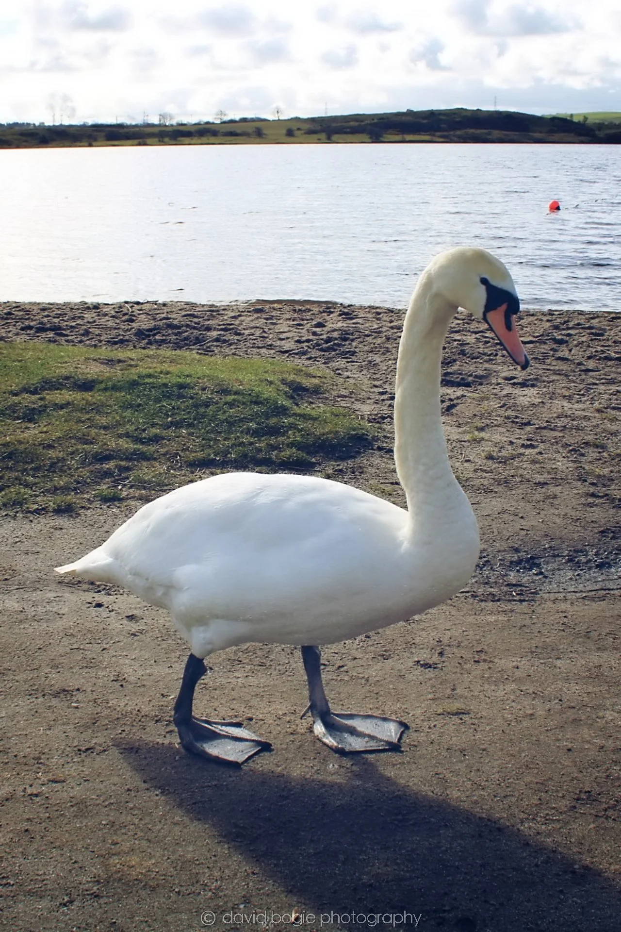 20190318 115139 Lochore 0001.jpg