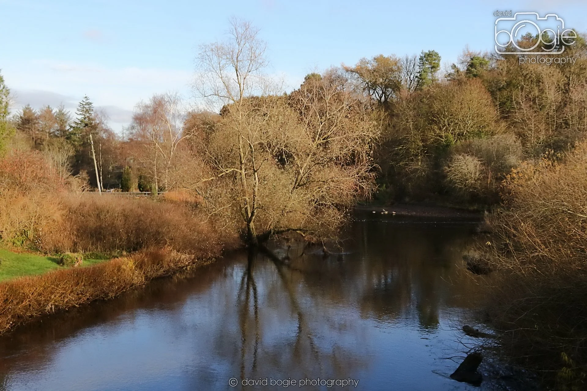 20251205 123609 East Calder 0050.JPG