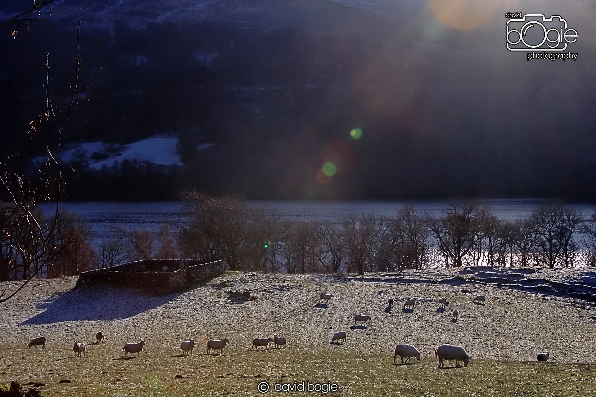 20221215 00022 Aberfeldy.JPG