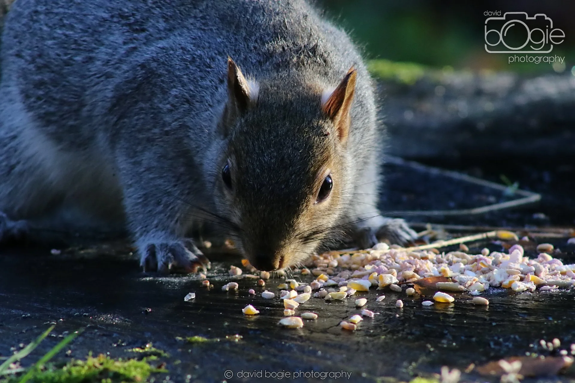 20251125 143105 Silverburn 0750.JPG