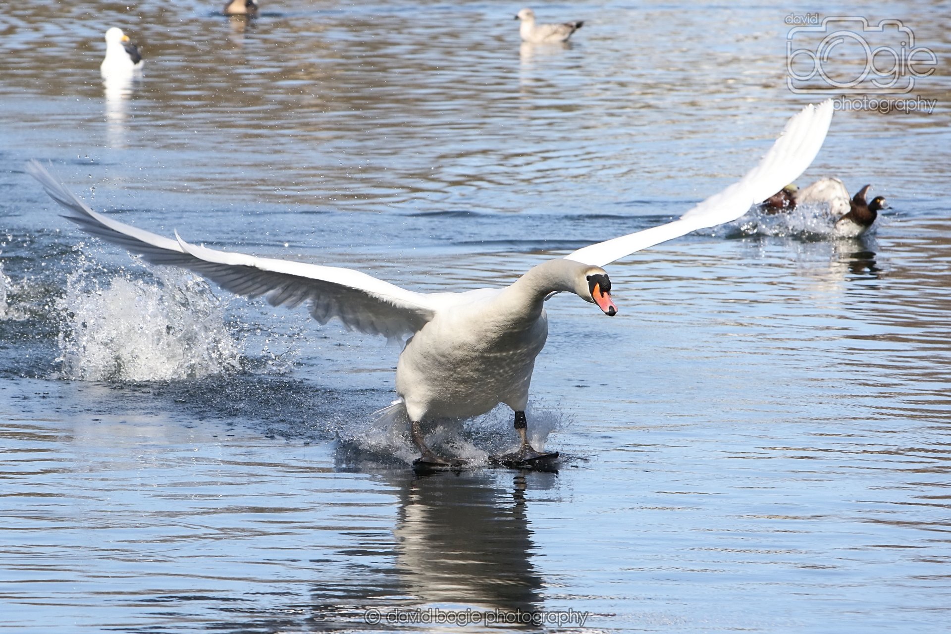 20260319 113011 Beveridge Park 0062.jpg