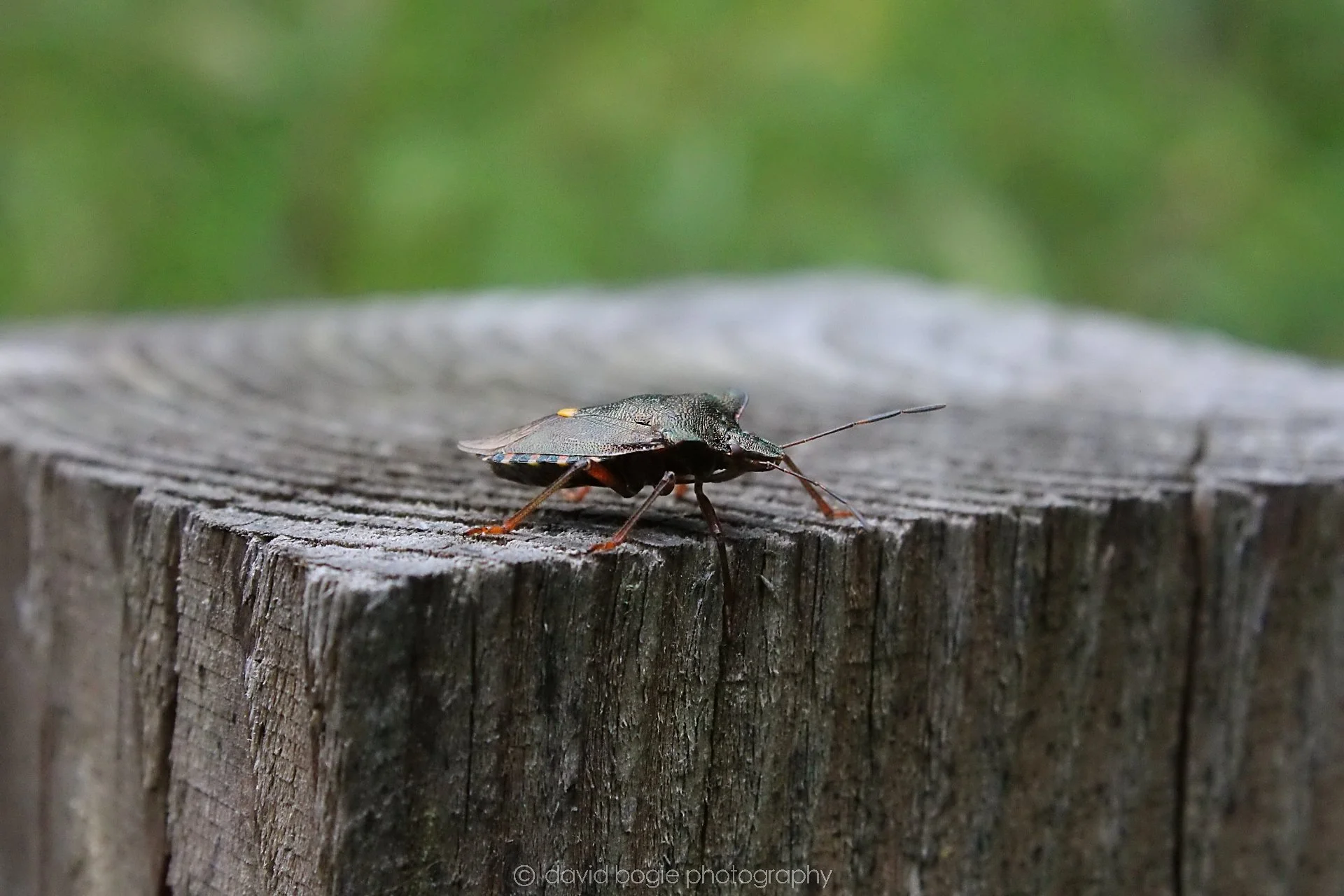 20210720 124446 Earlseat 0107.jpg