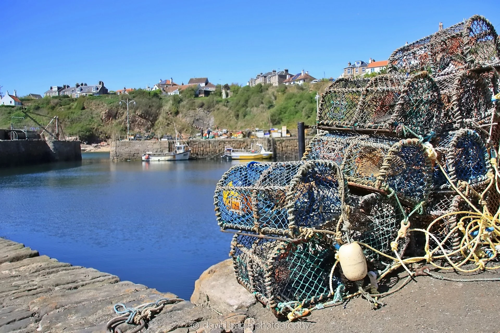YEAR20250509 120248 Crail 0194.jpg