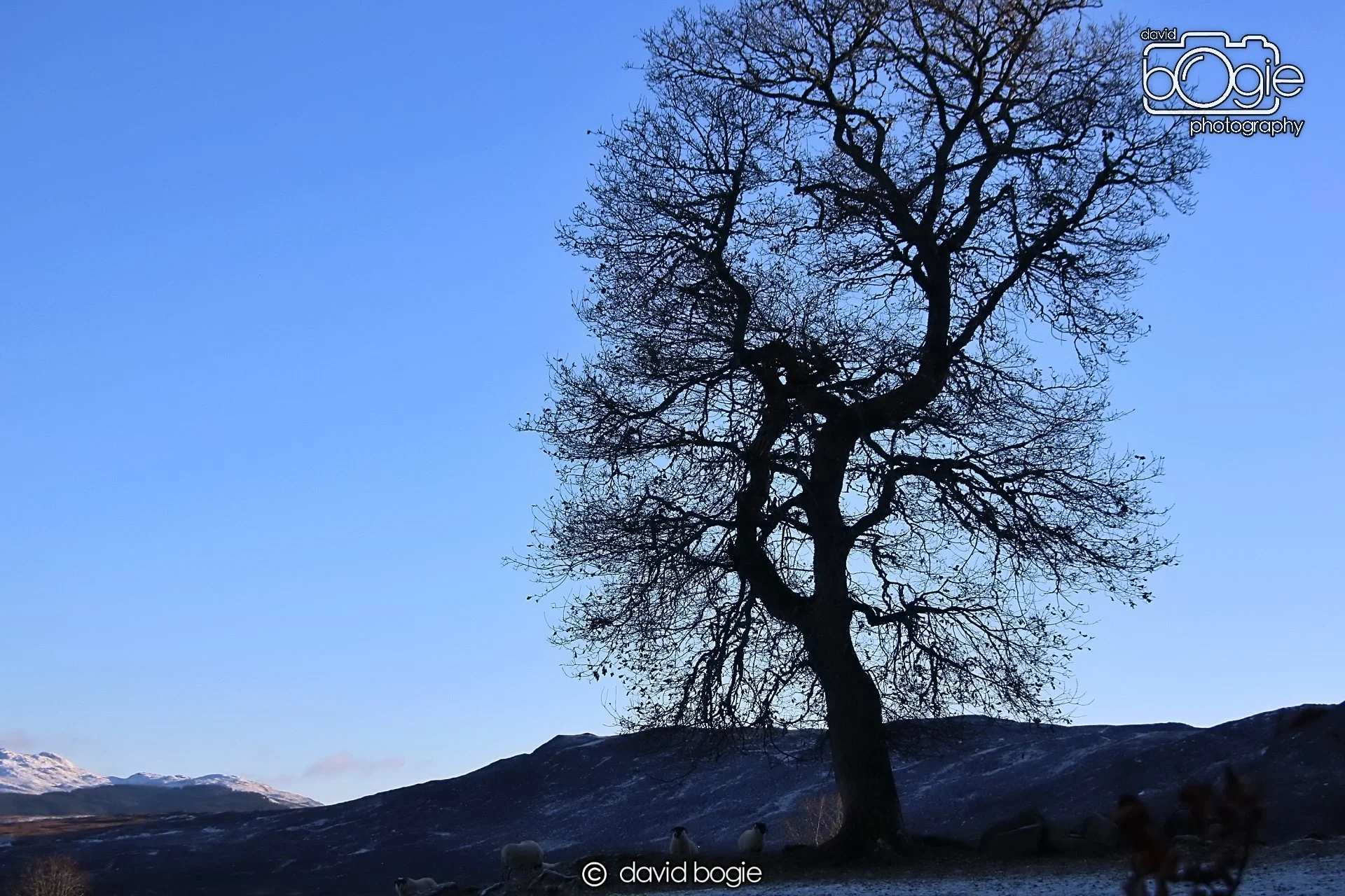 20221215 00223 Aberfeldy.JPG