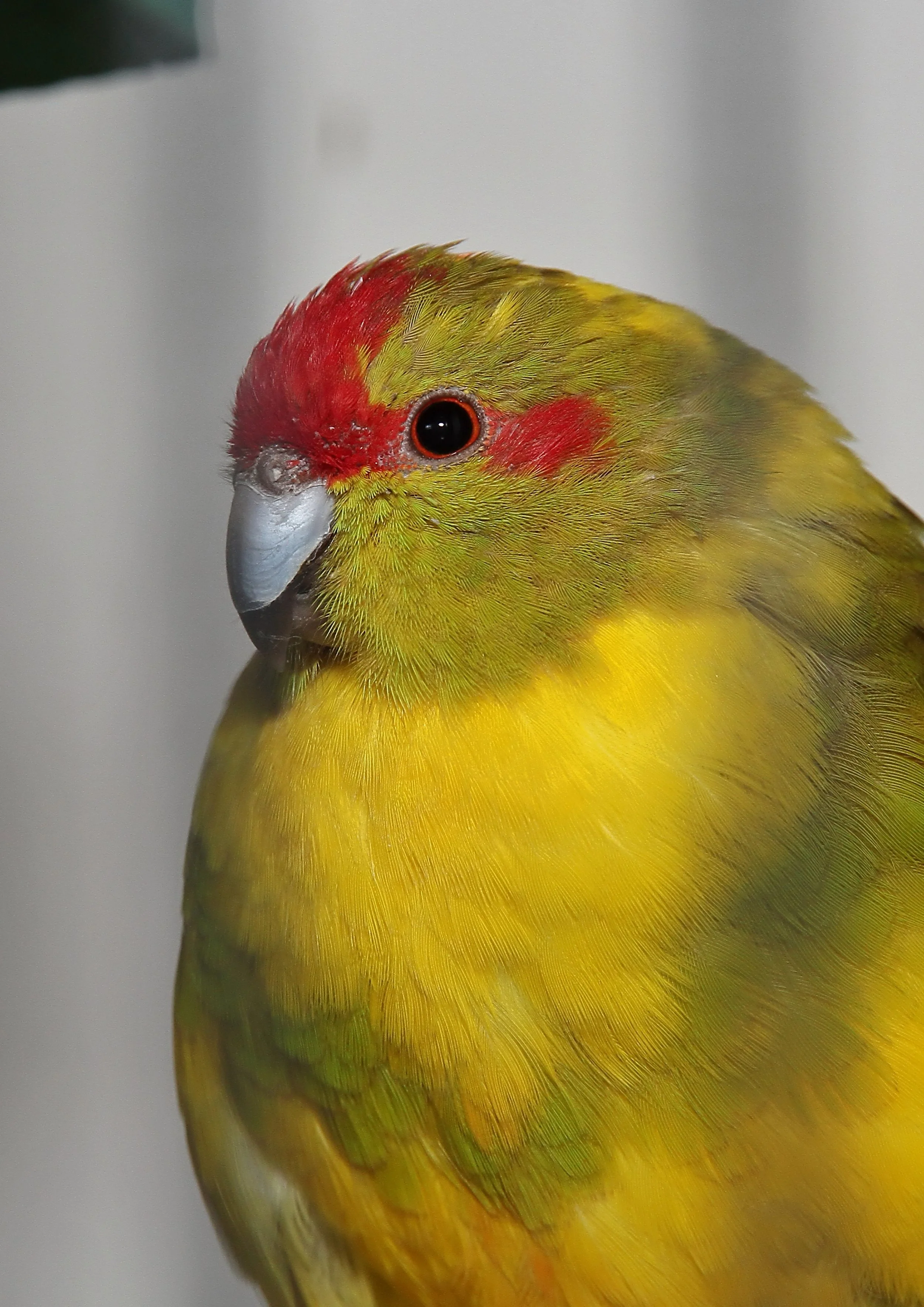 20260331 103954 K&S 0292.jpg