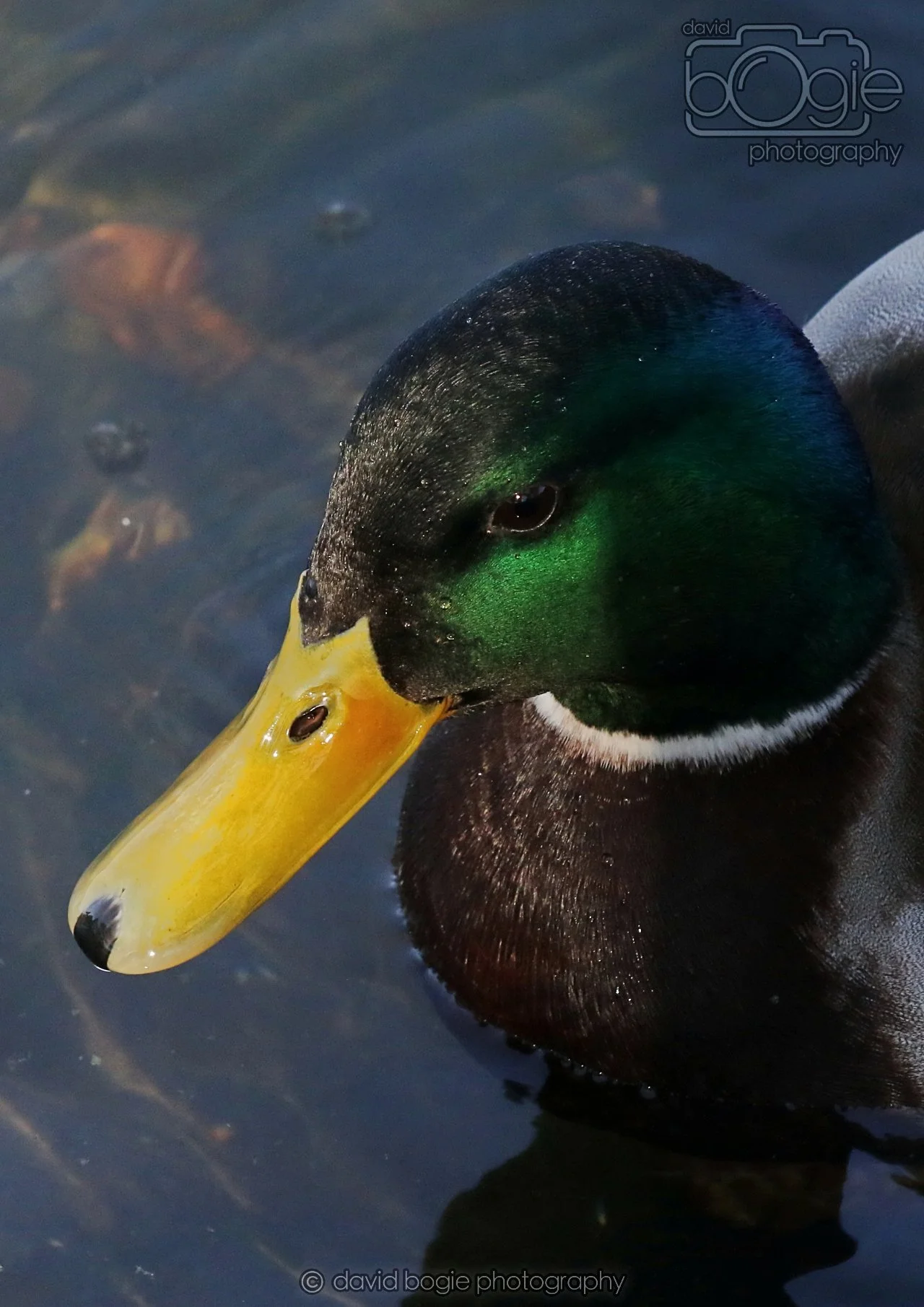 20260319 113508 Beveridge Park 0146.jpg