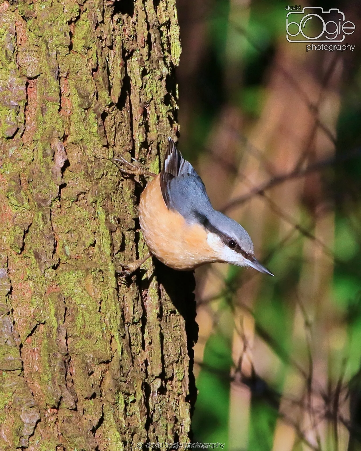 20260128 125115 Dunnikier 0077.JPG