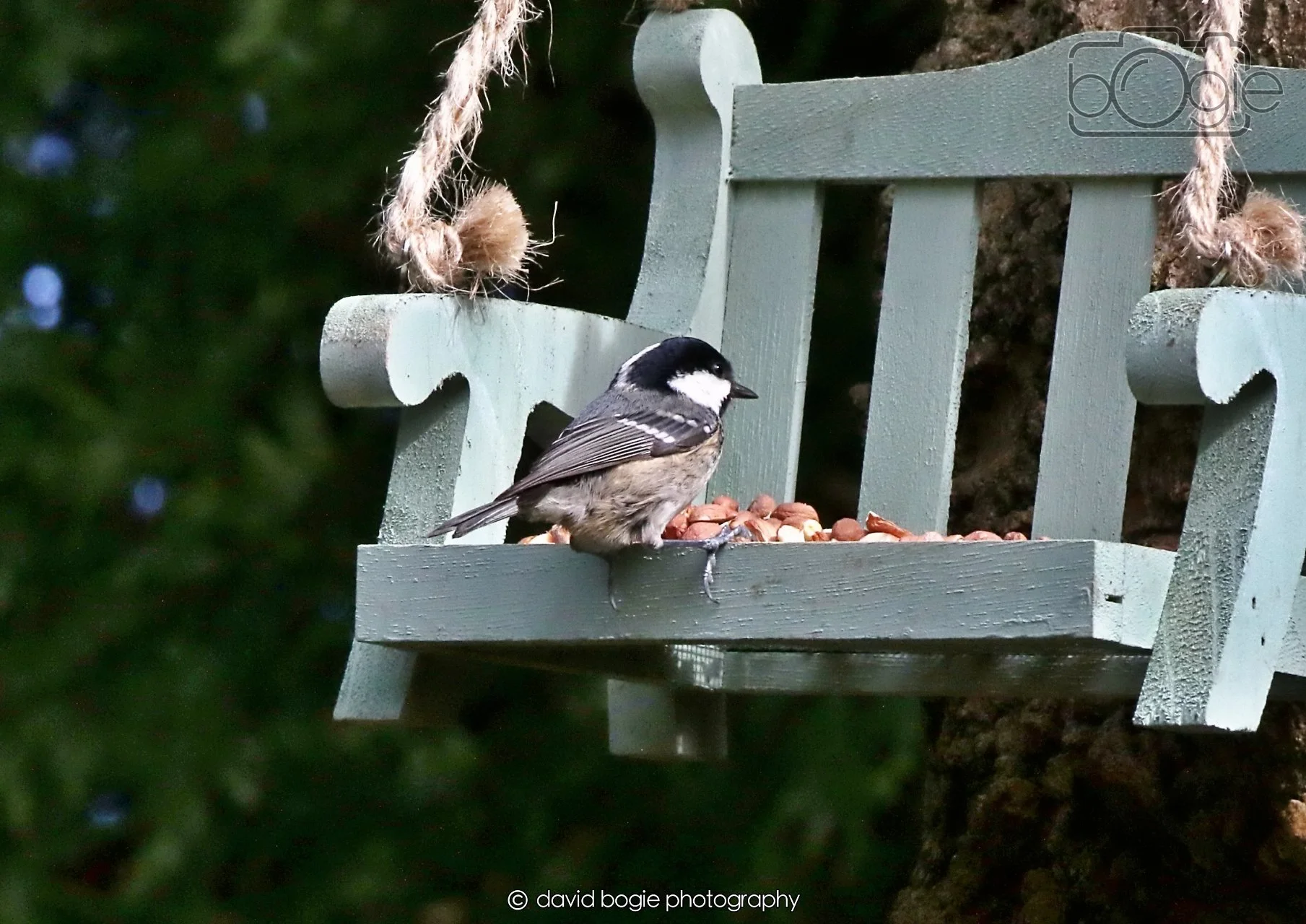 20260403 122409 Dunnikier 0191.jpg