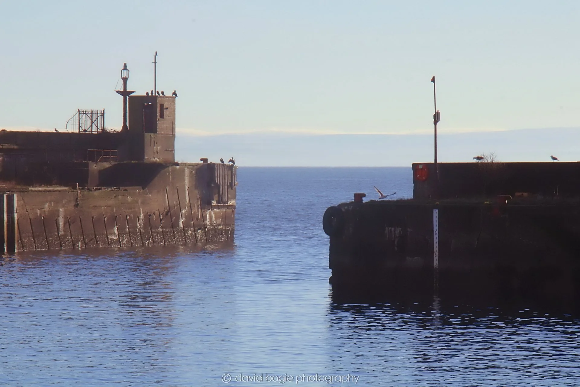 YEAR20231206 120839 Kirkcaldy 0111.jpg