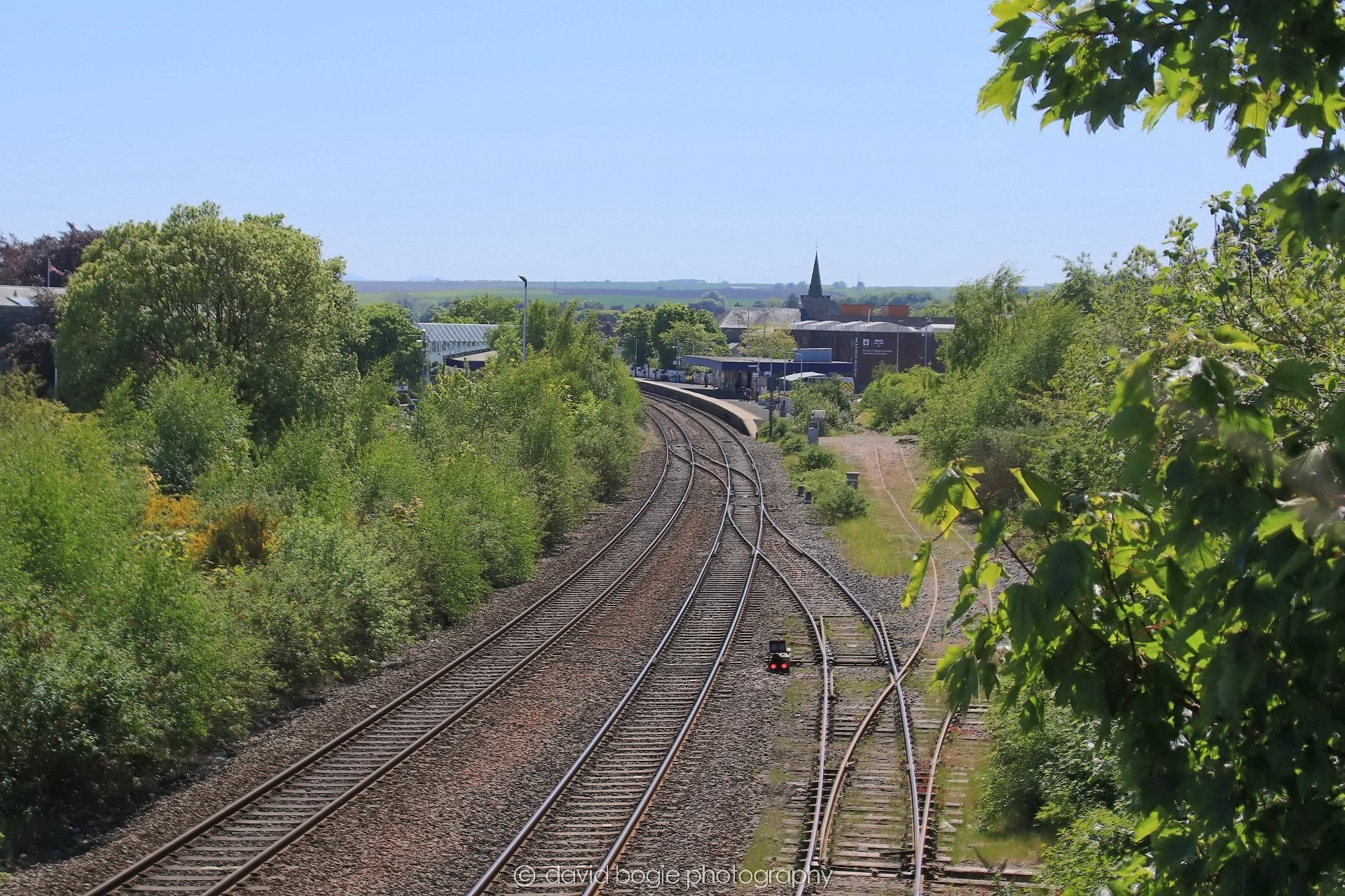 YEAR20250516 142304 KIRKCALDY 0493.jpg