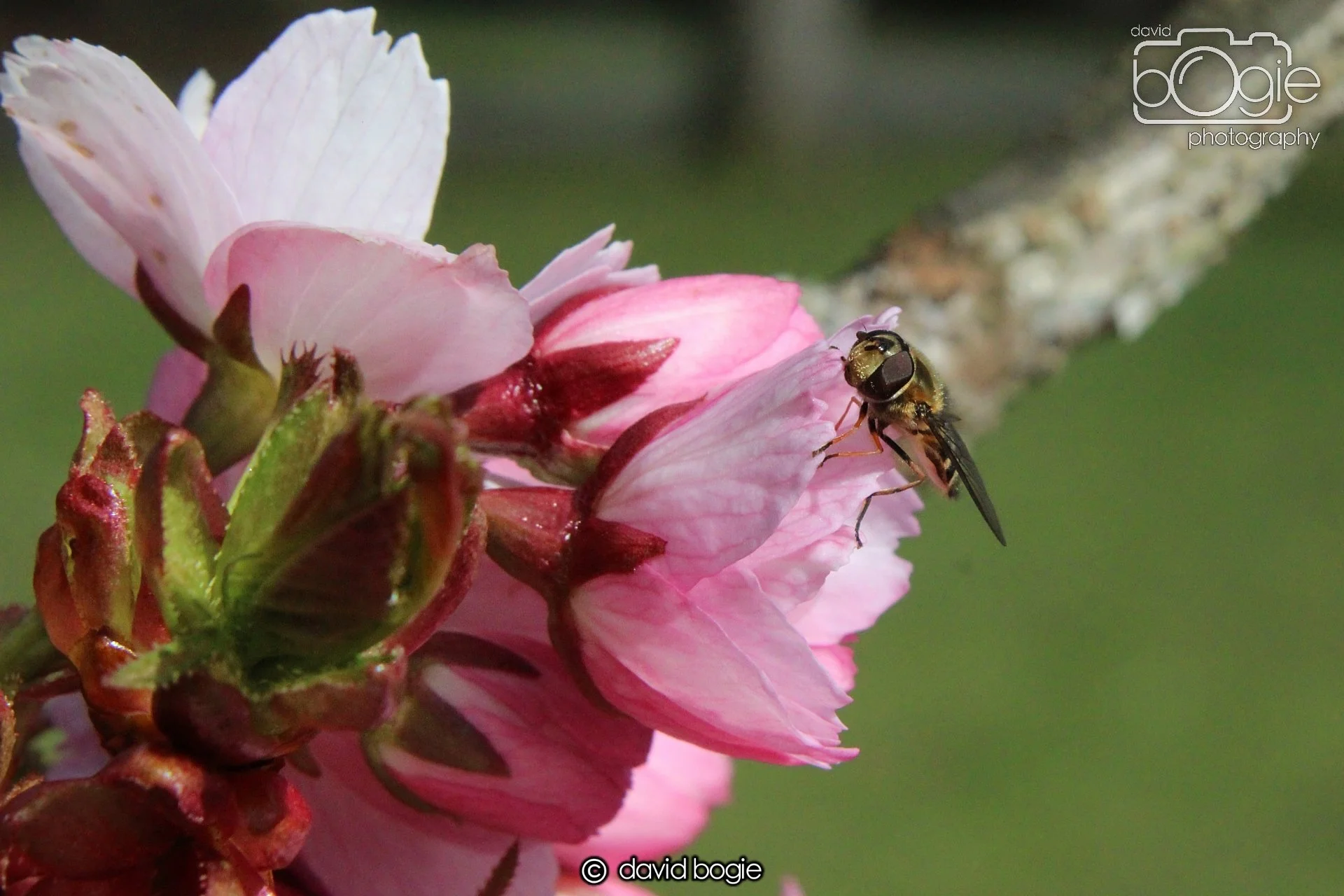 20210410 Beveridge (1) .jpg