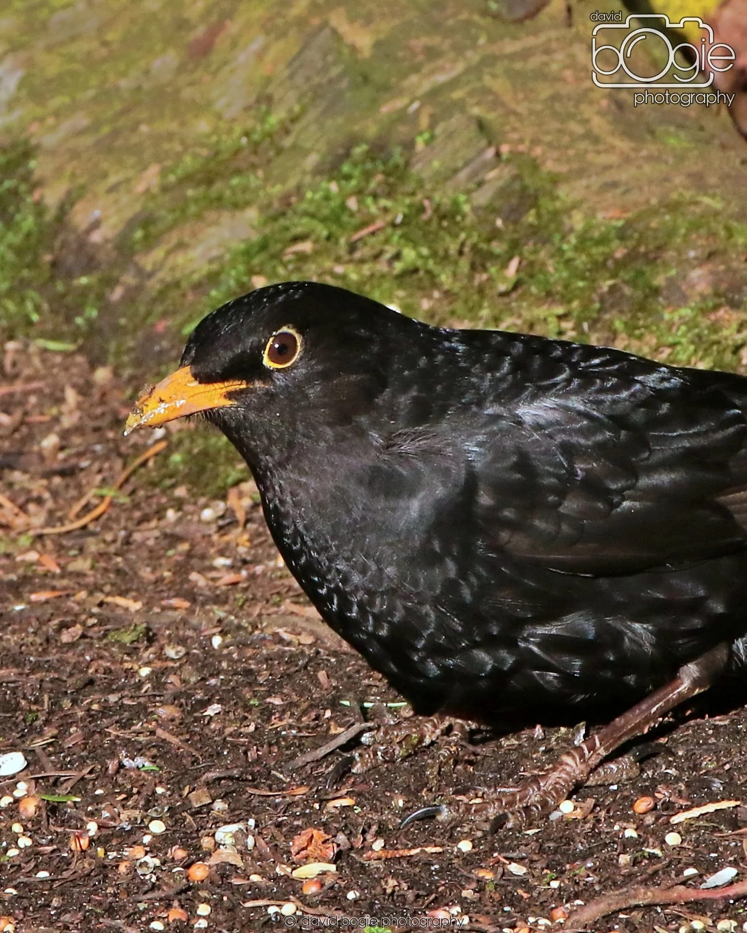 20260128 125057 Dunnikier 0071.JPG