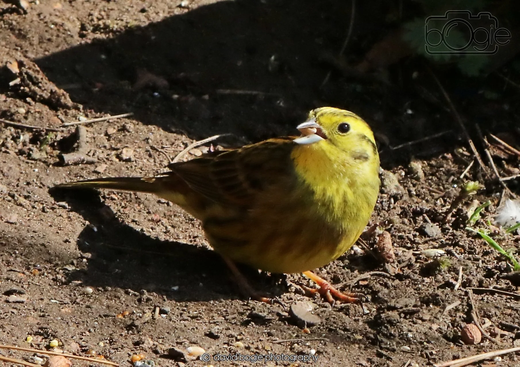 20260402 100604 Silverburn 0092.jpg