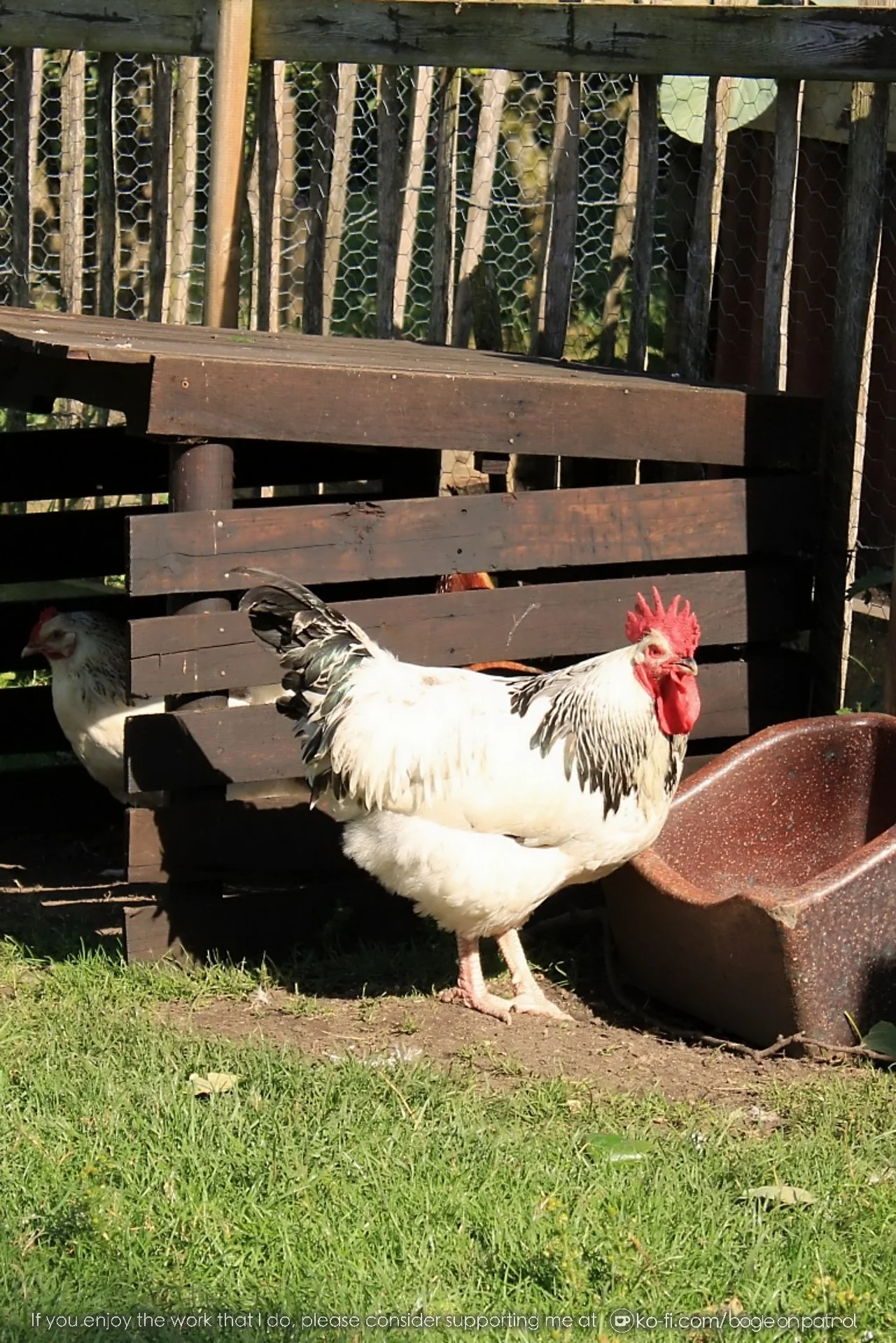 20190722 162723 Beamish .jpg