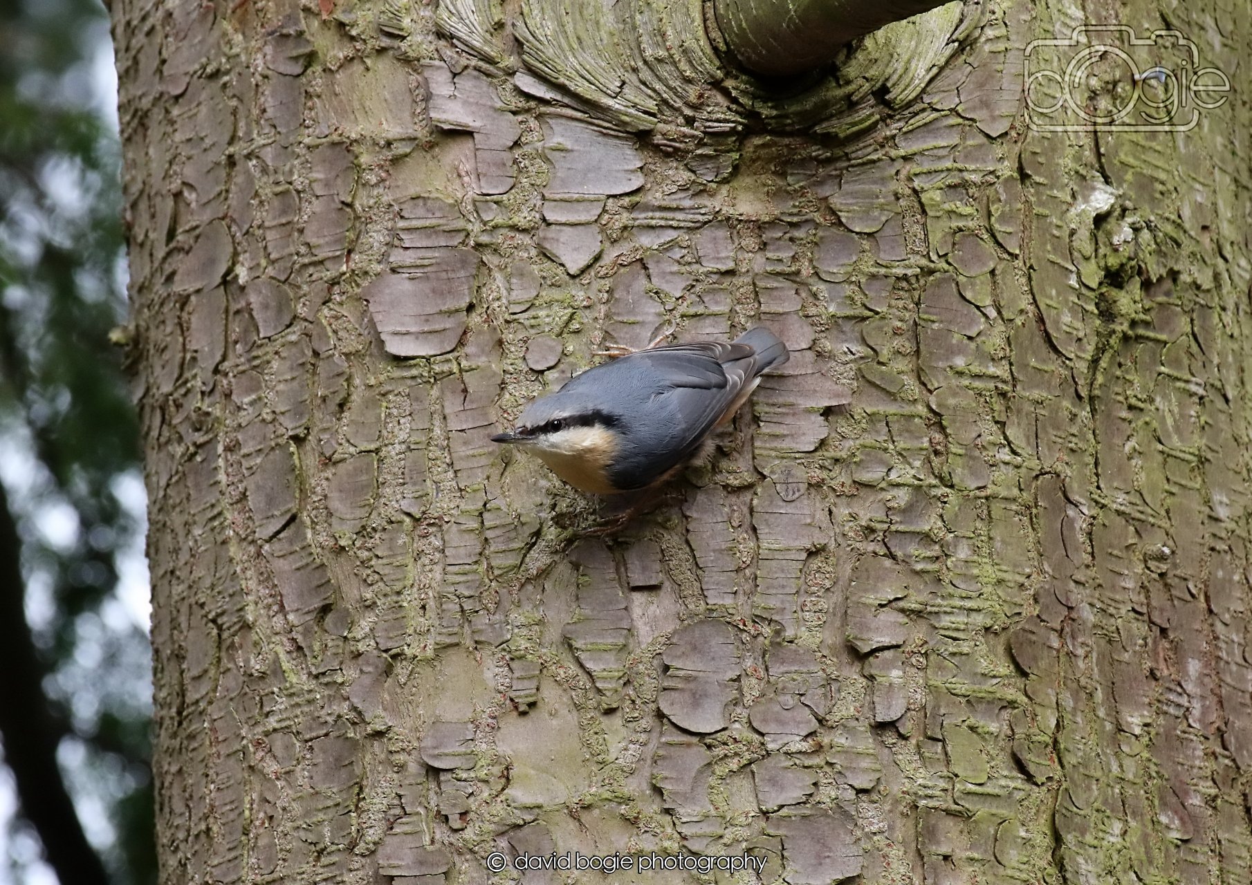 20260330 111439 Dunnikier 0070.jpg