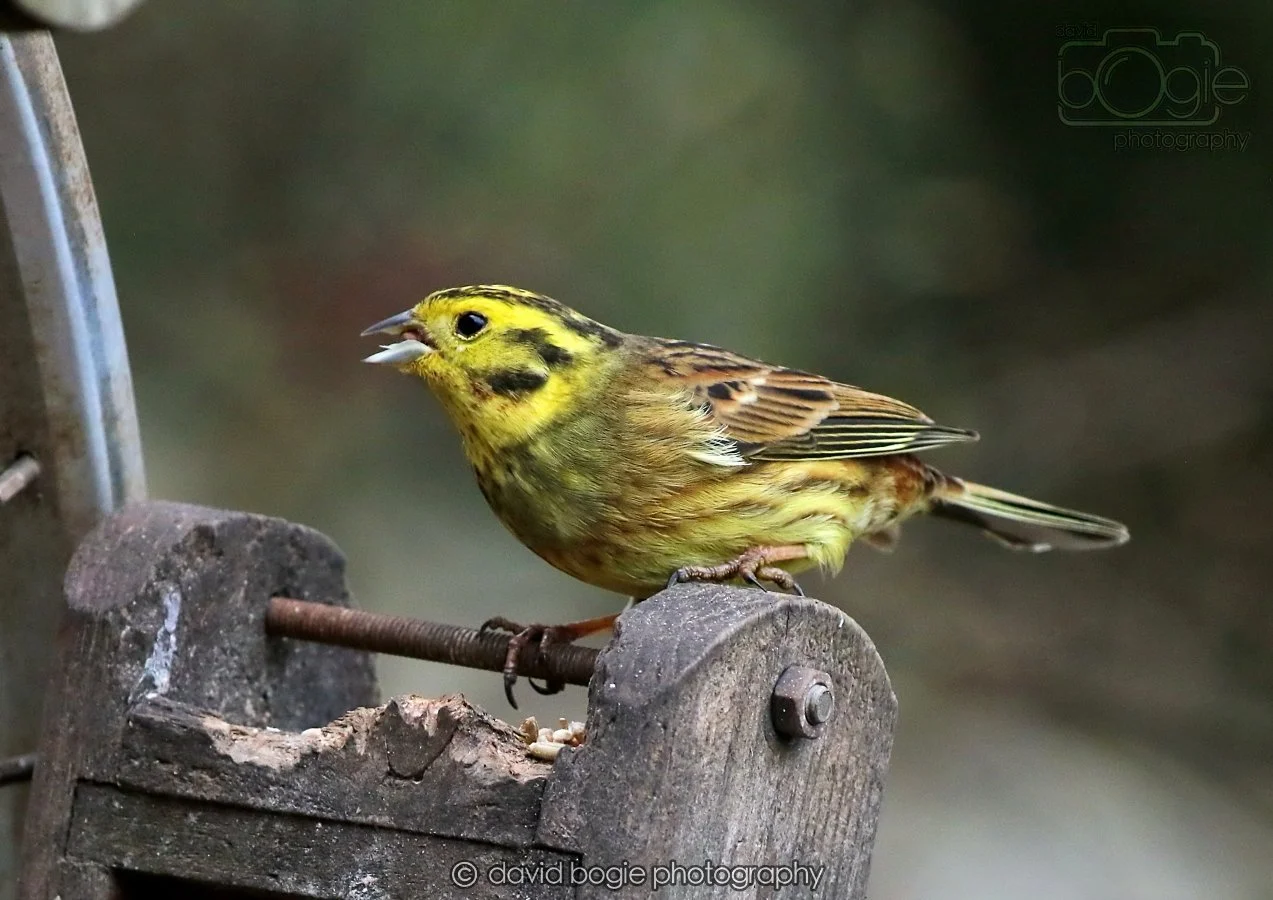 20260215 132436 Silverburn 0139.jpg