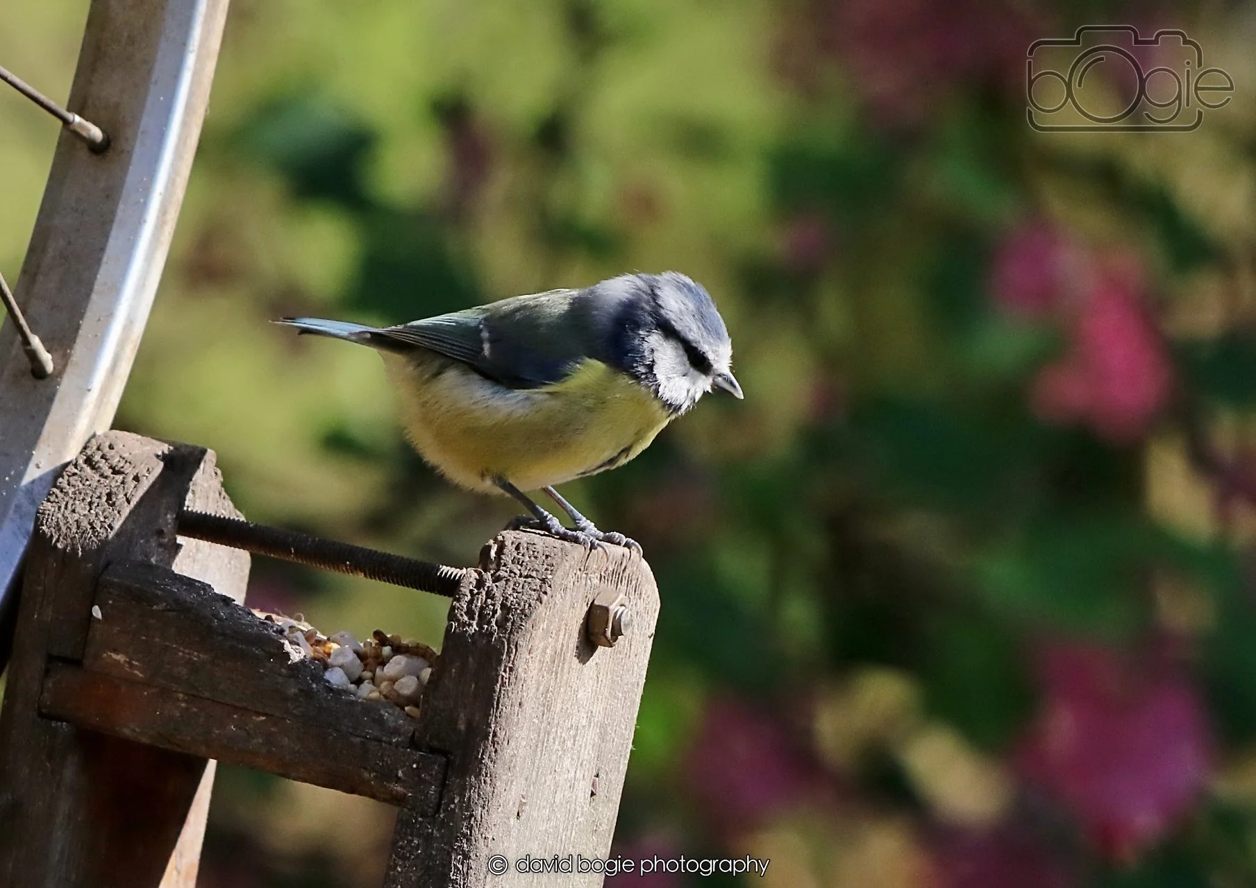 20260402 095333 Silverburn 0035.jpg