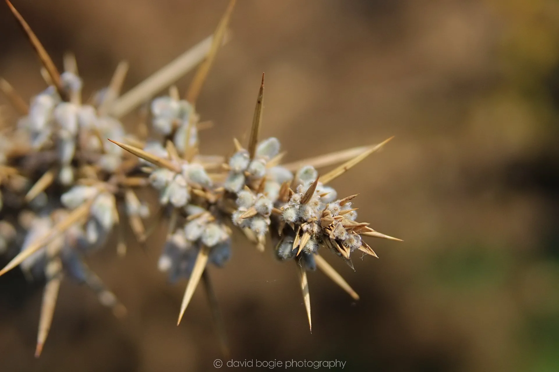 20210530 Lochore 15.jpg