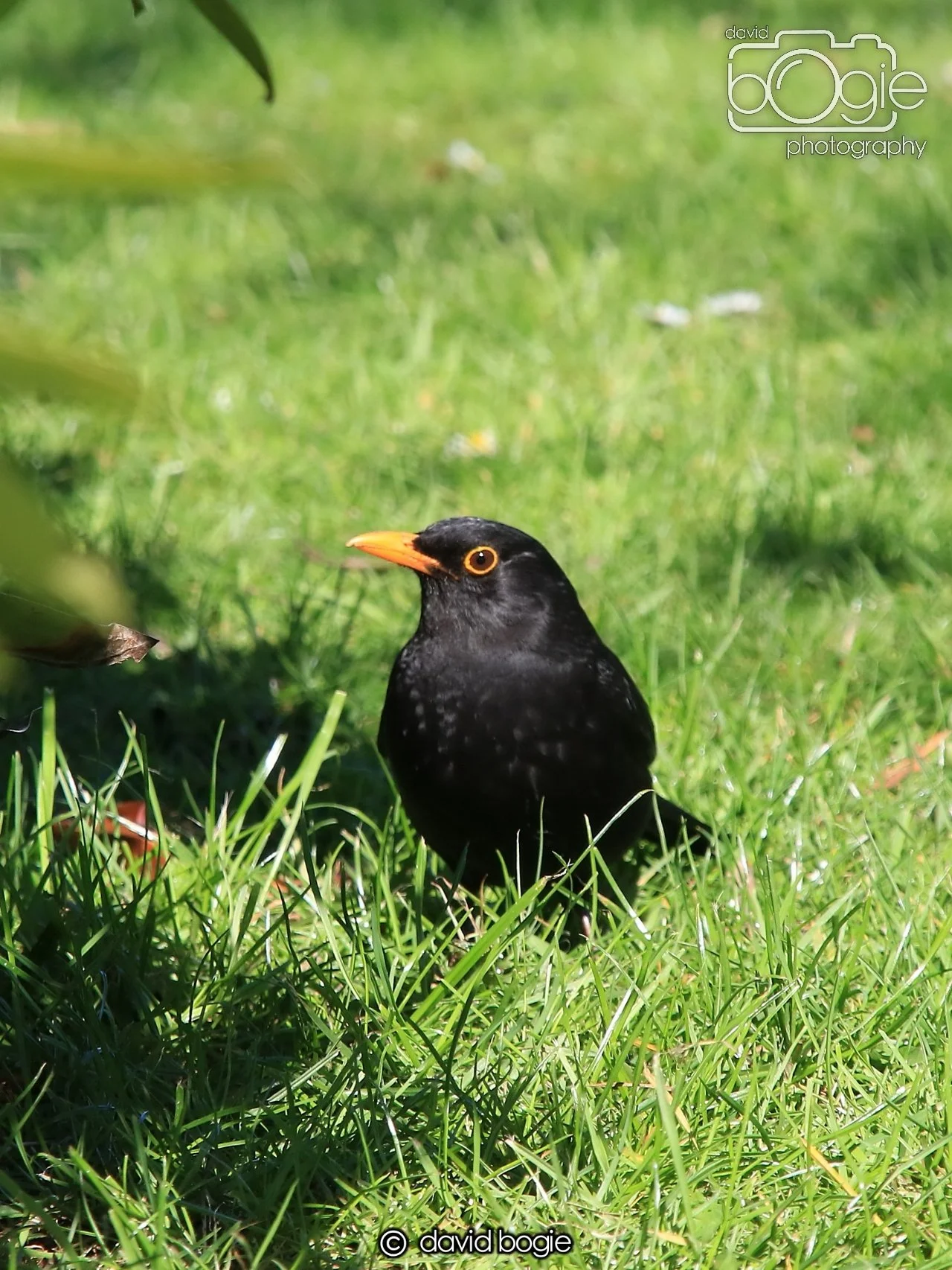 20250505 140231 Beveridge Park 1042.JPG