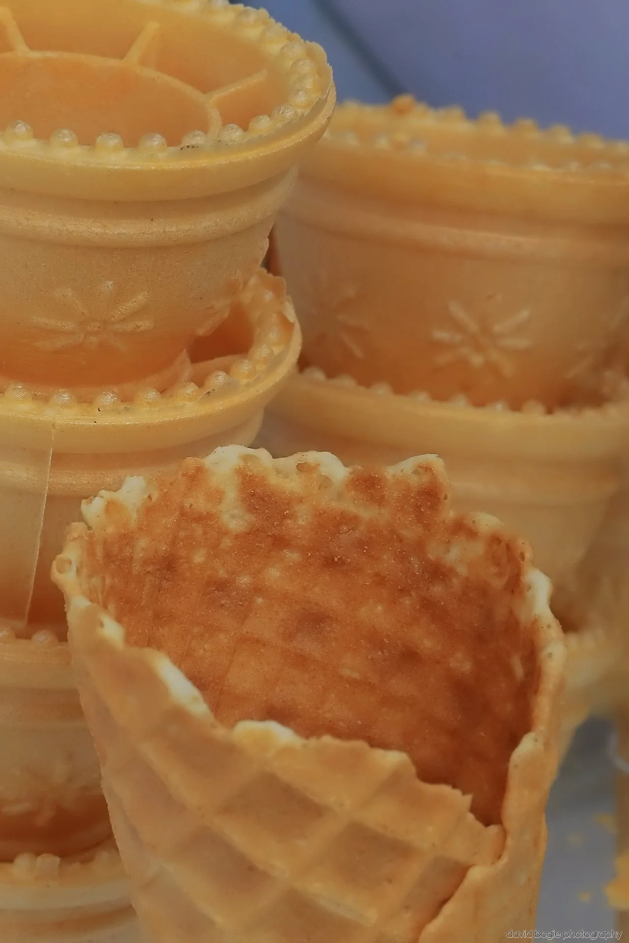 20260426 133546 Bus Bundle 0597.jpg