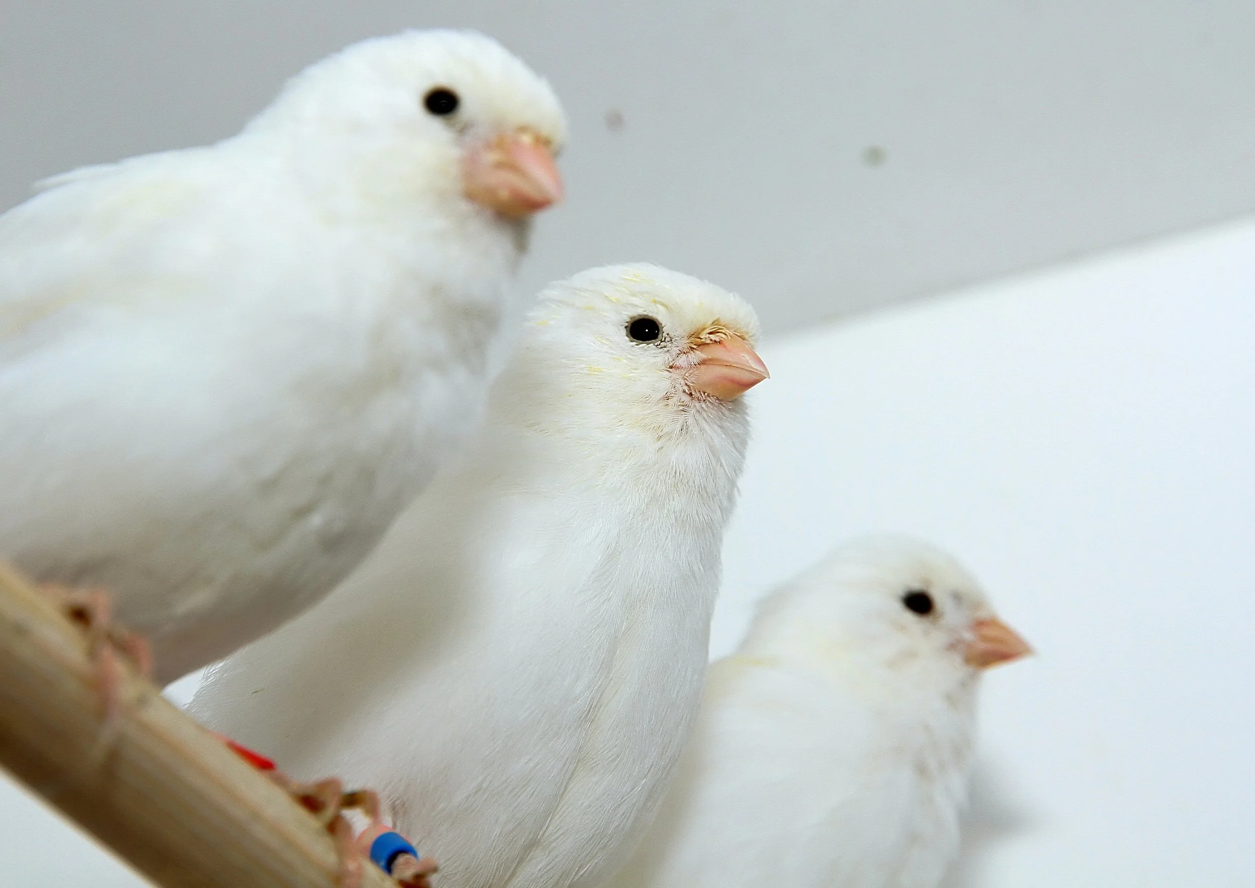 20260331 111737 K&S 0446.jpg